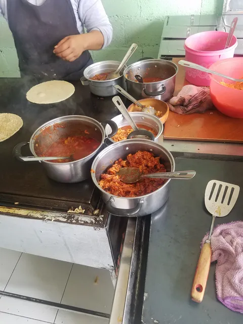 Gorditas y Gordotas image 1