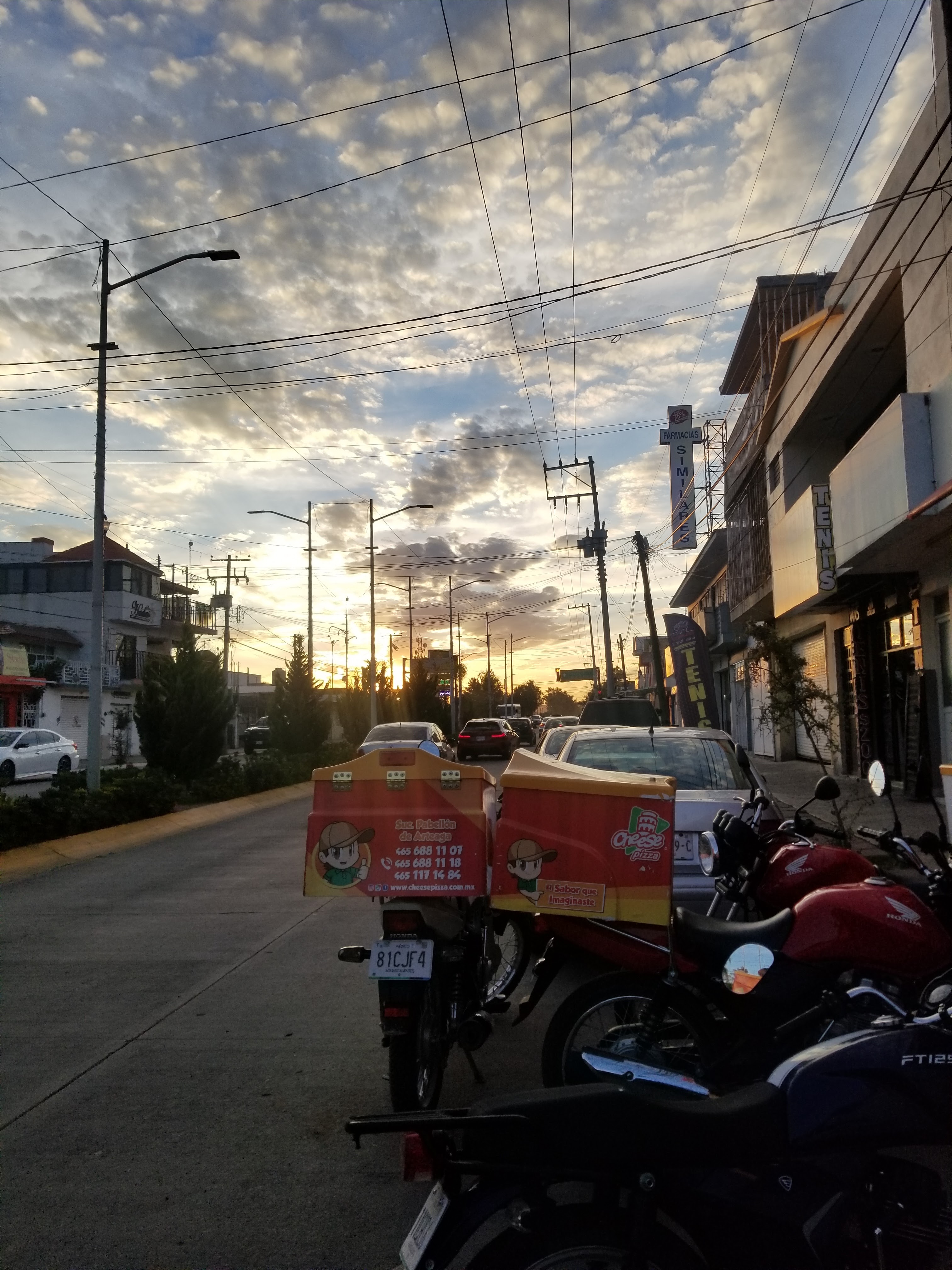 Cheese pizza pabellón image 5