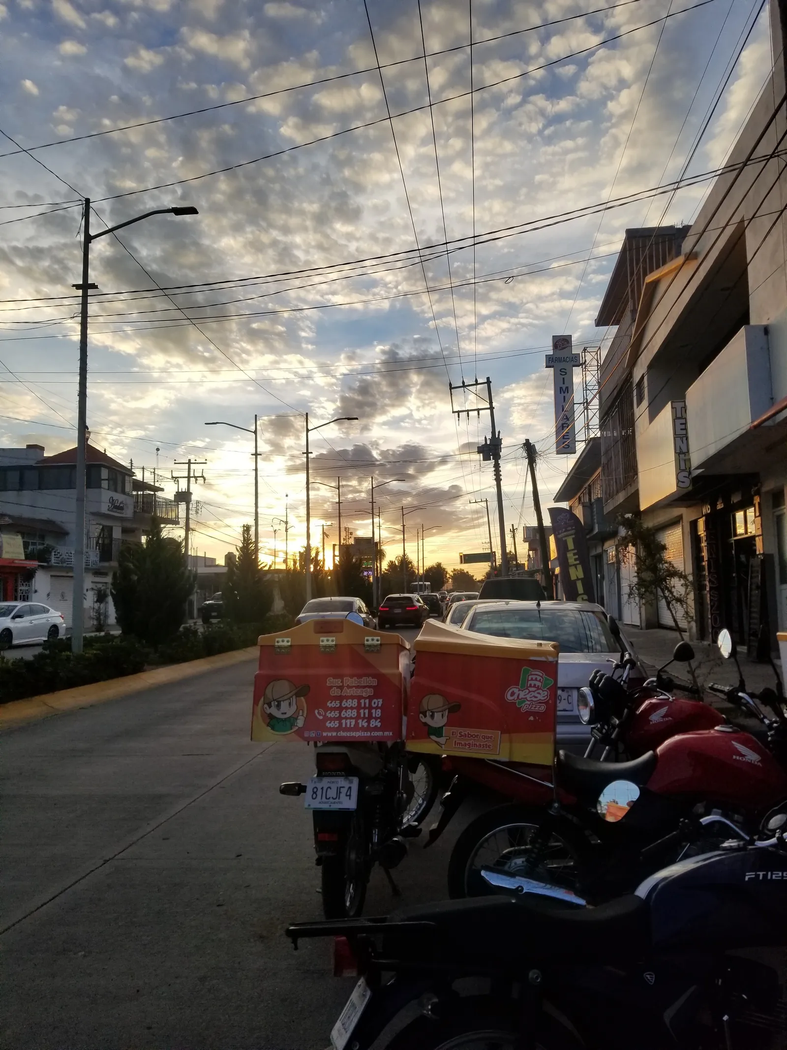 Cheese pizza pabellón image 5