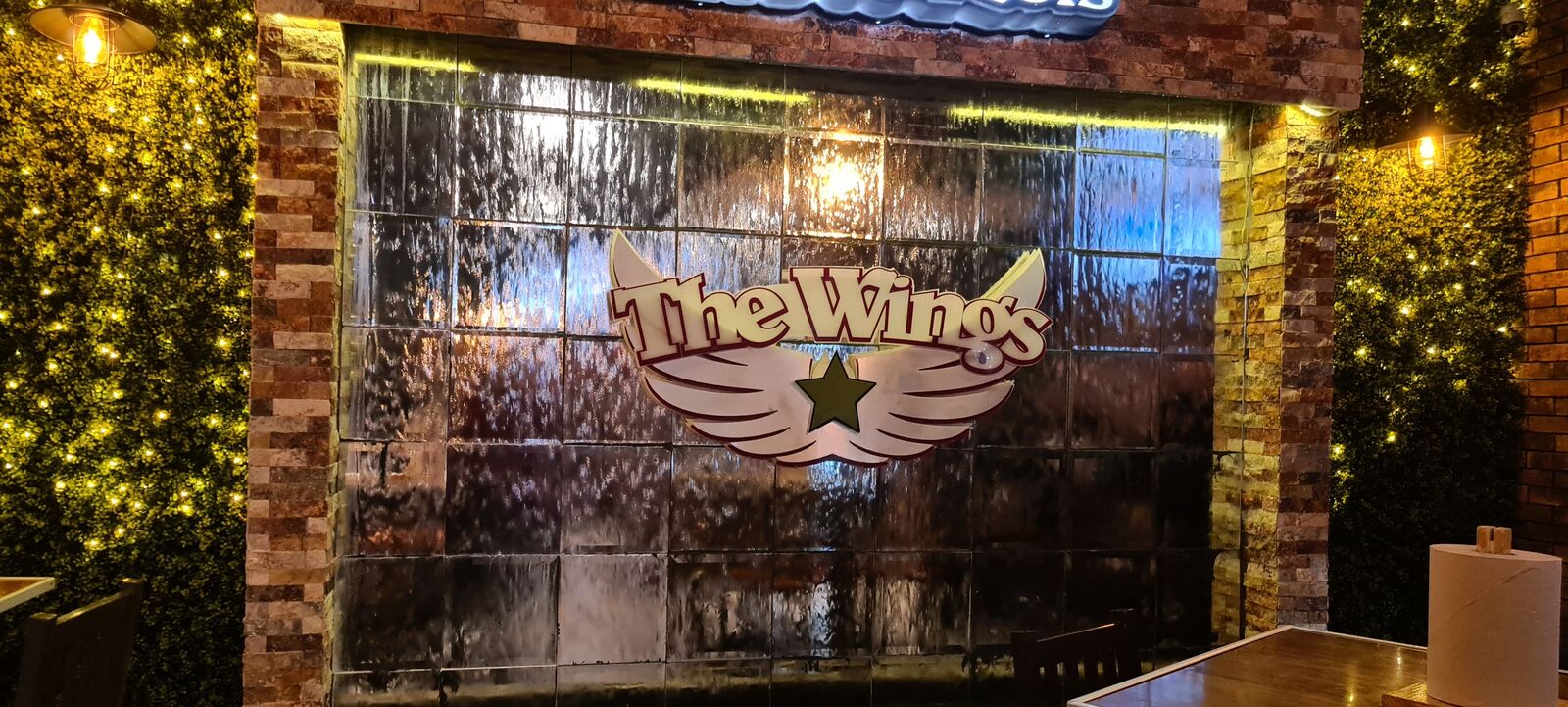 The wings image 1