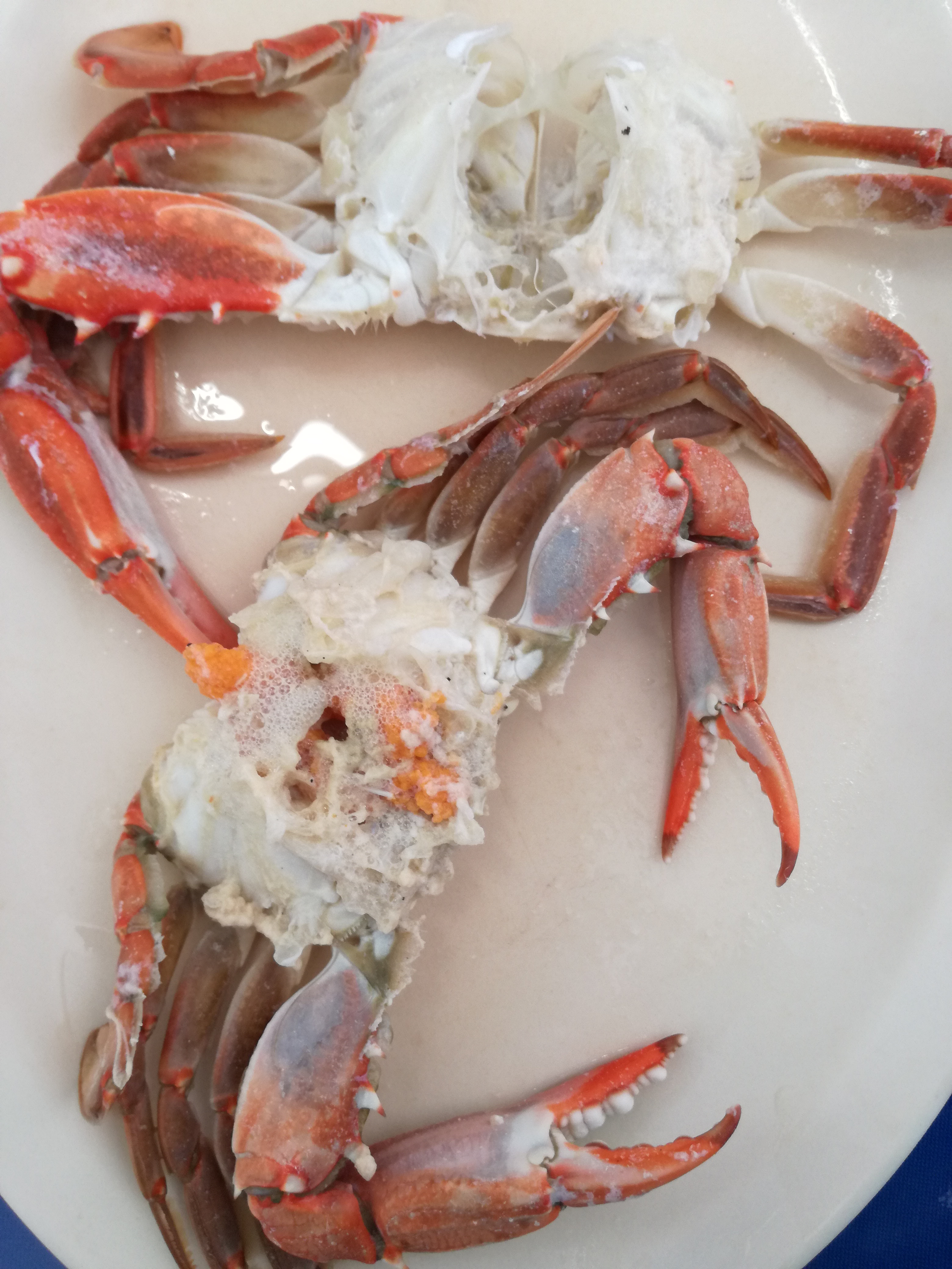 Mariscos La Bamba image 7