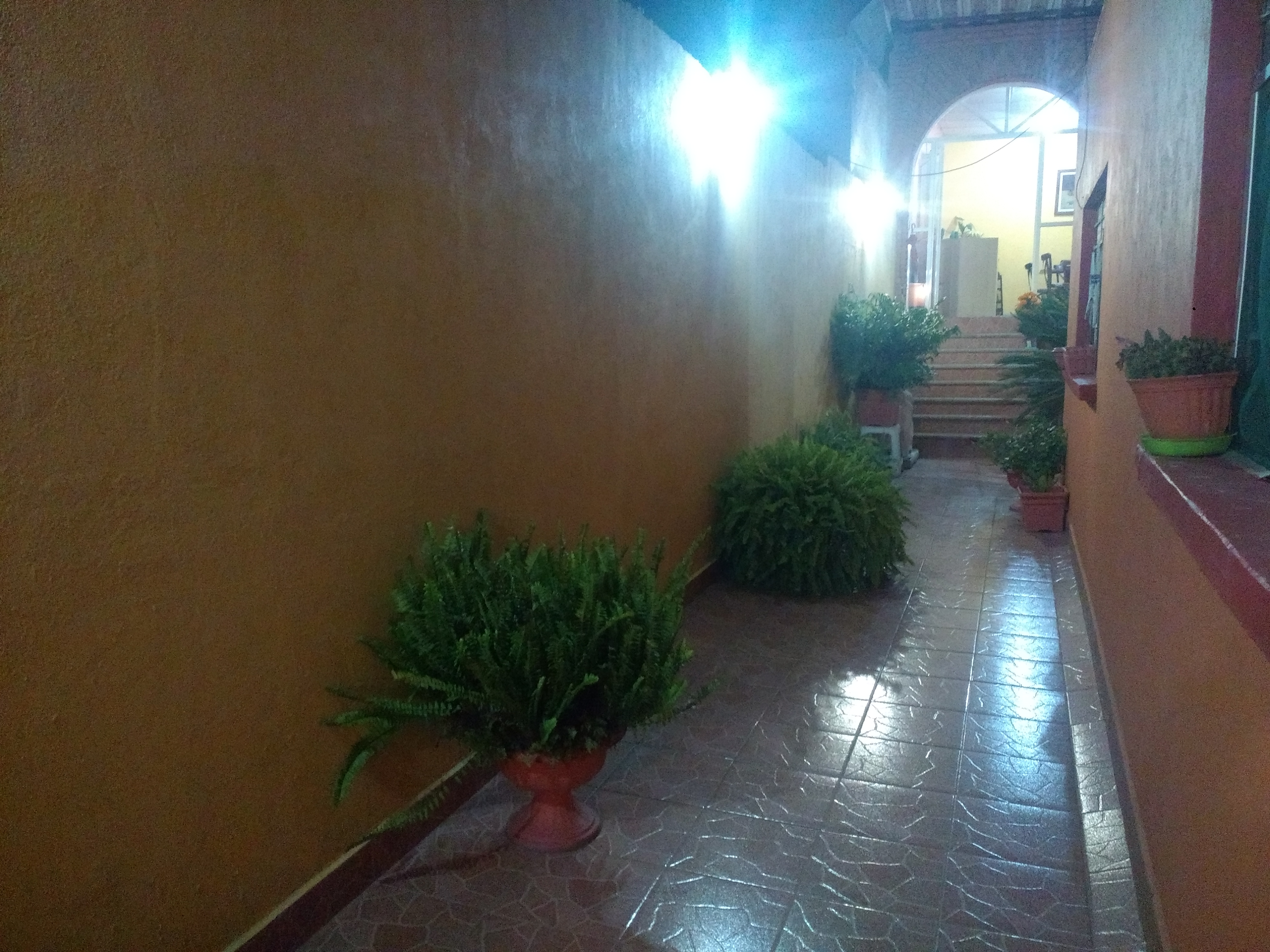 El Rincon de los Helechos image 3