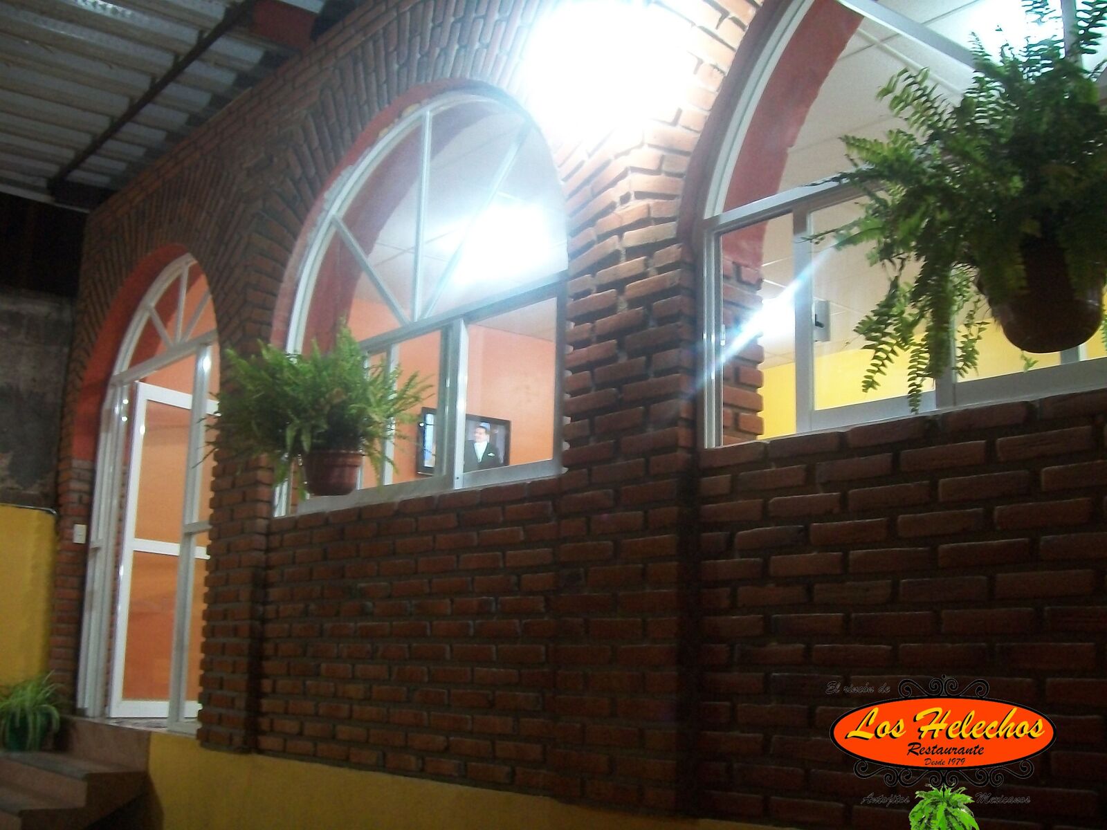 El Rincon de los Helechos image 5
