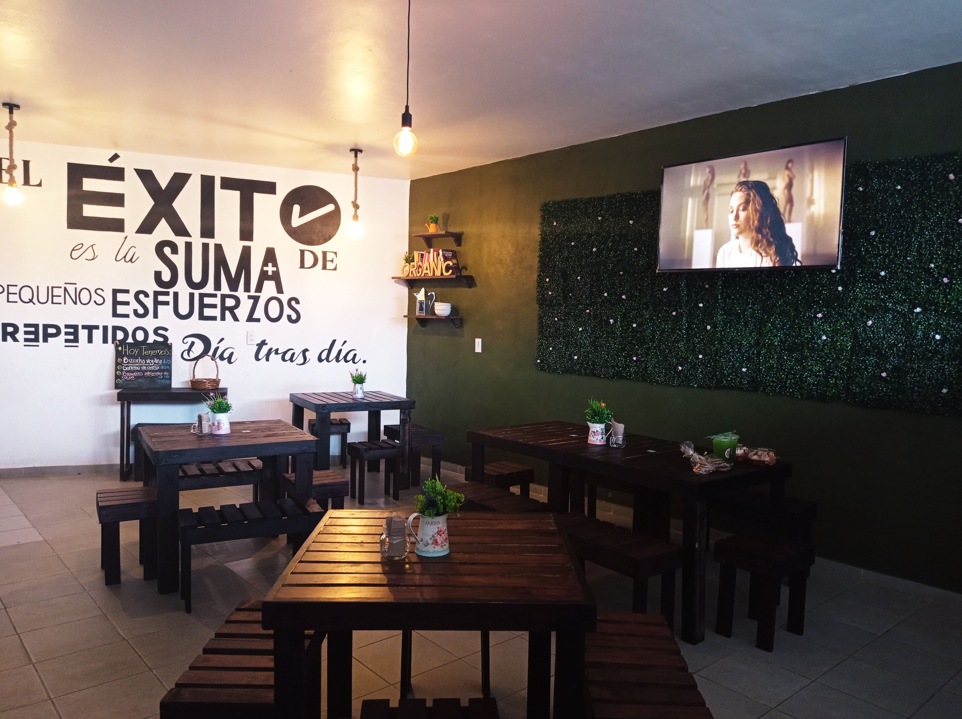 Organic, Sahagún image 1