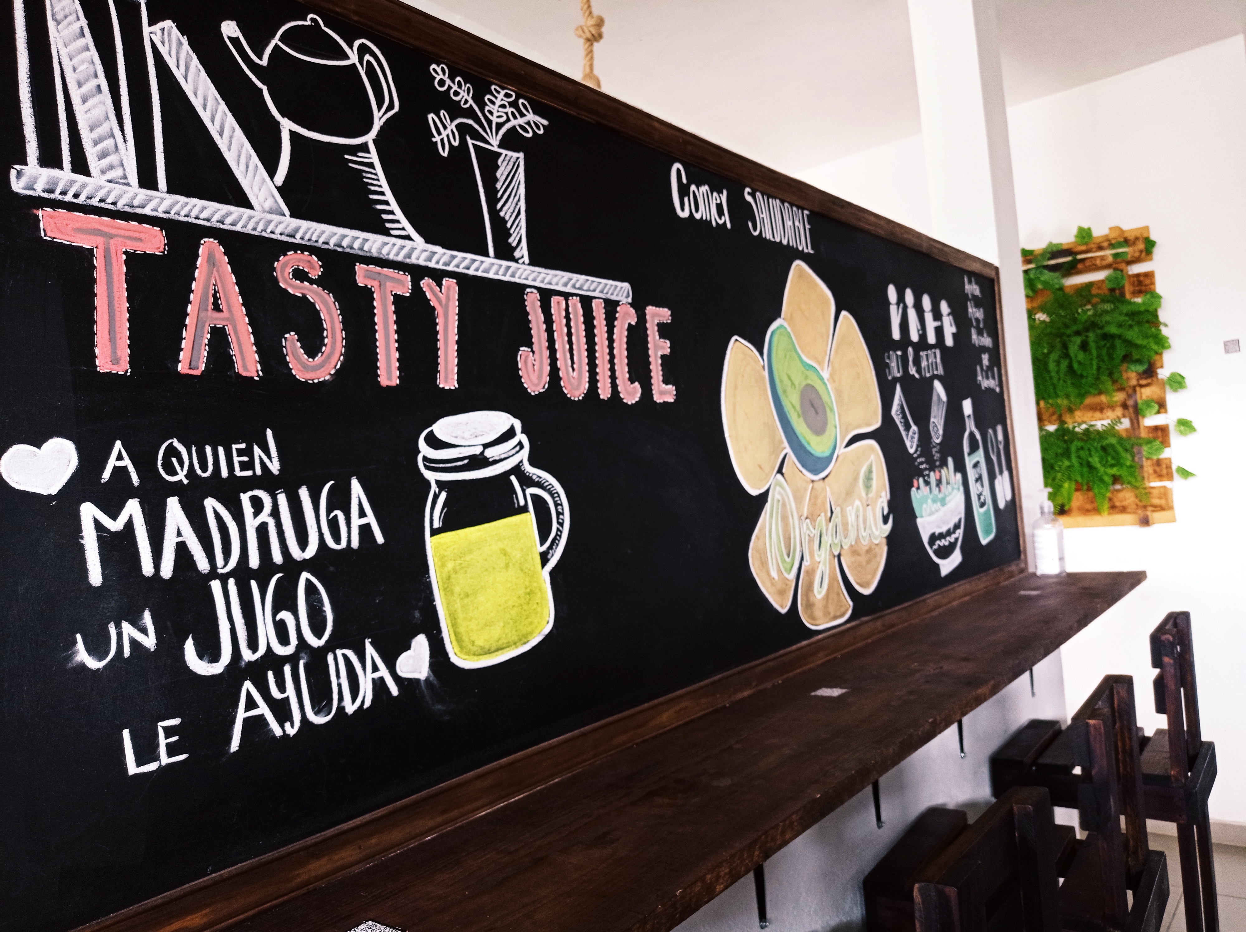 Organic, Sahagún image 2