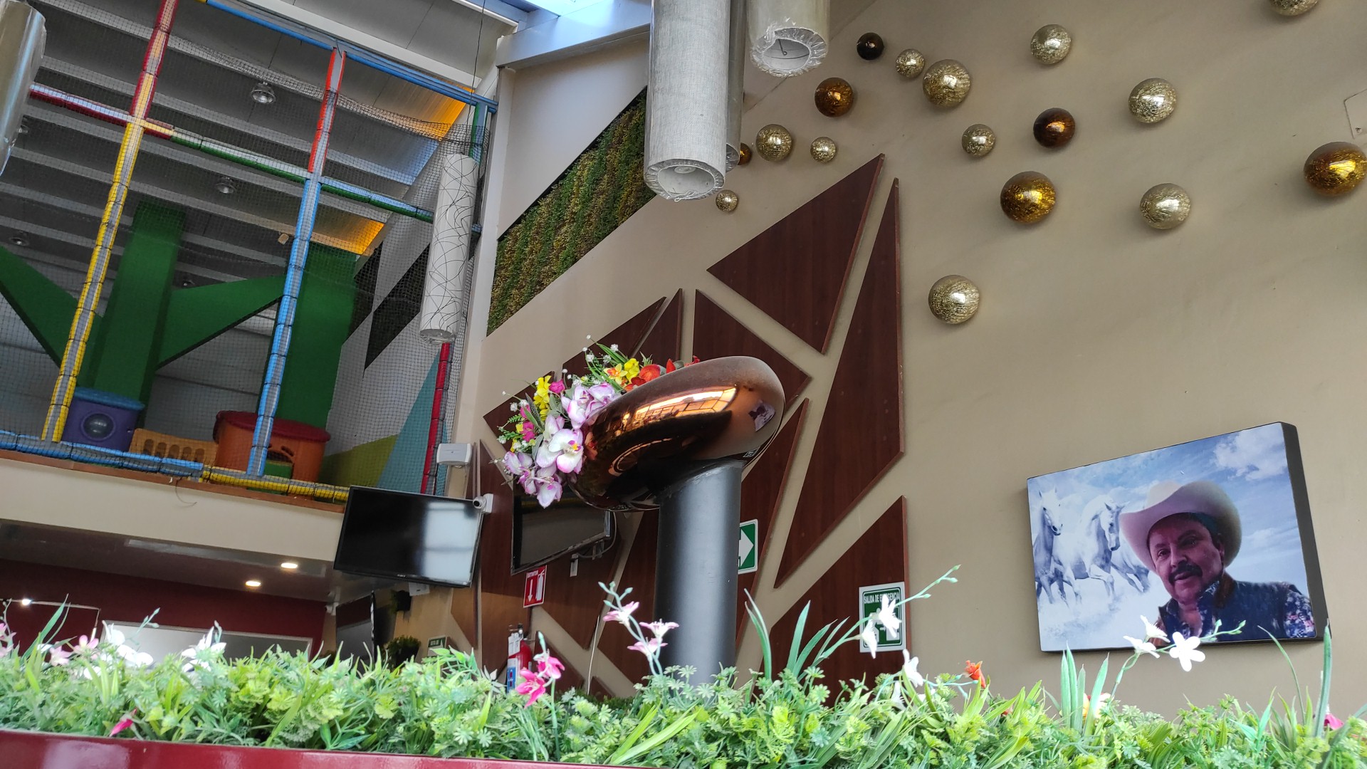 Fren chiken image 10