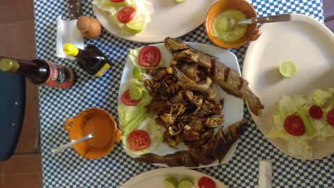 La Casa Del Pescado Jaraleño image 3