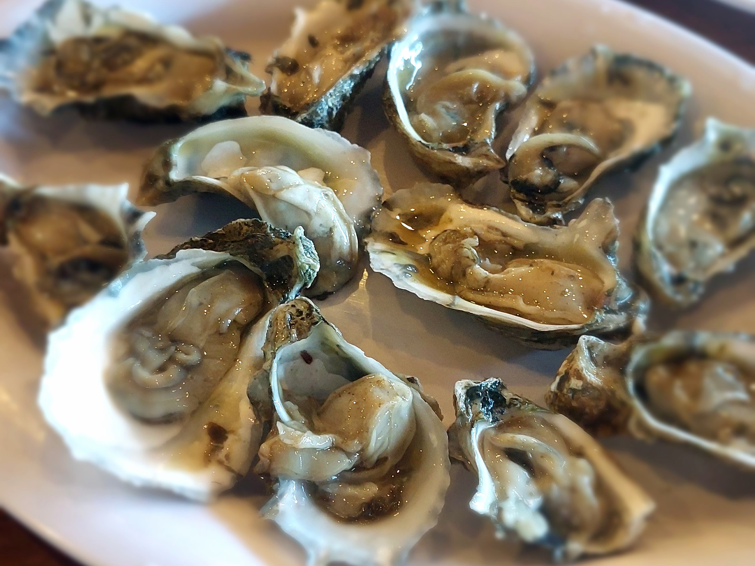 Restaurant "El Veracruz" El Mejor Ambiente Familiar image 2