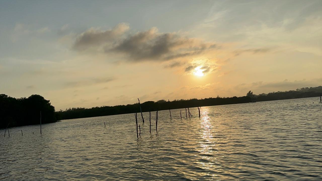 Restaurante El Caracol image 5