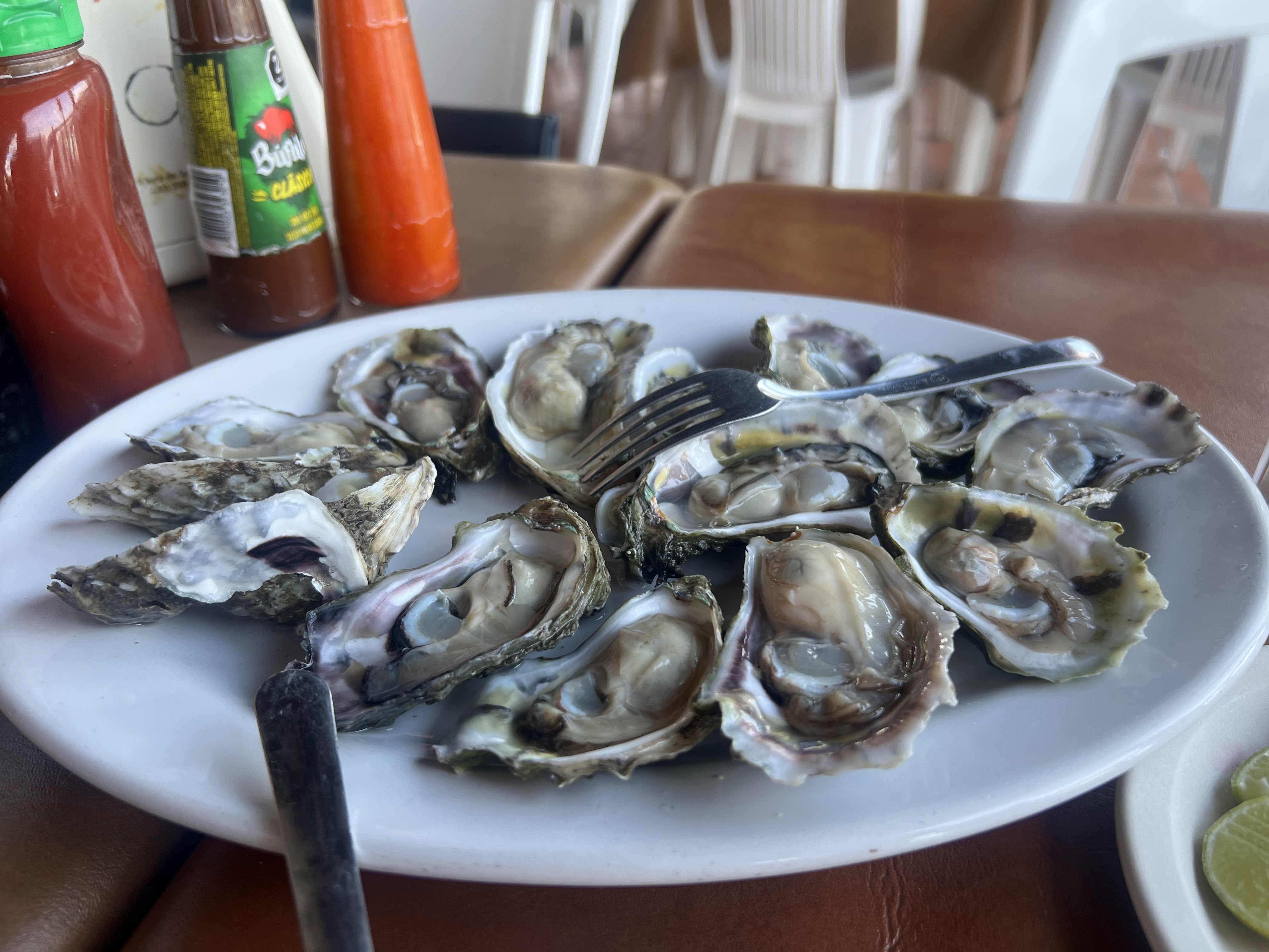 Restaurante El Caracol image 9