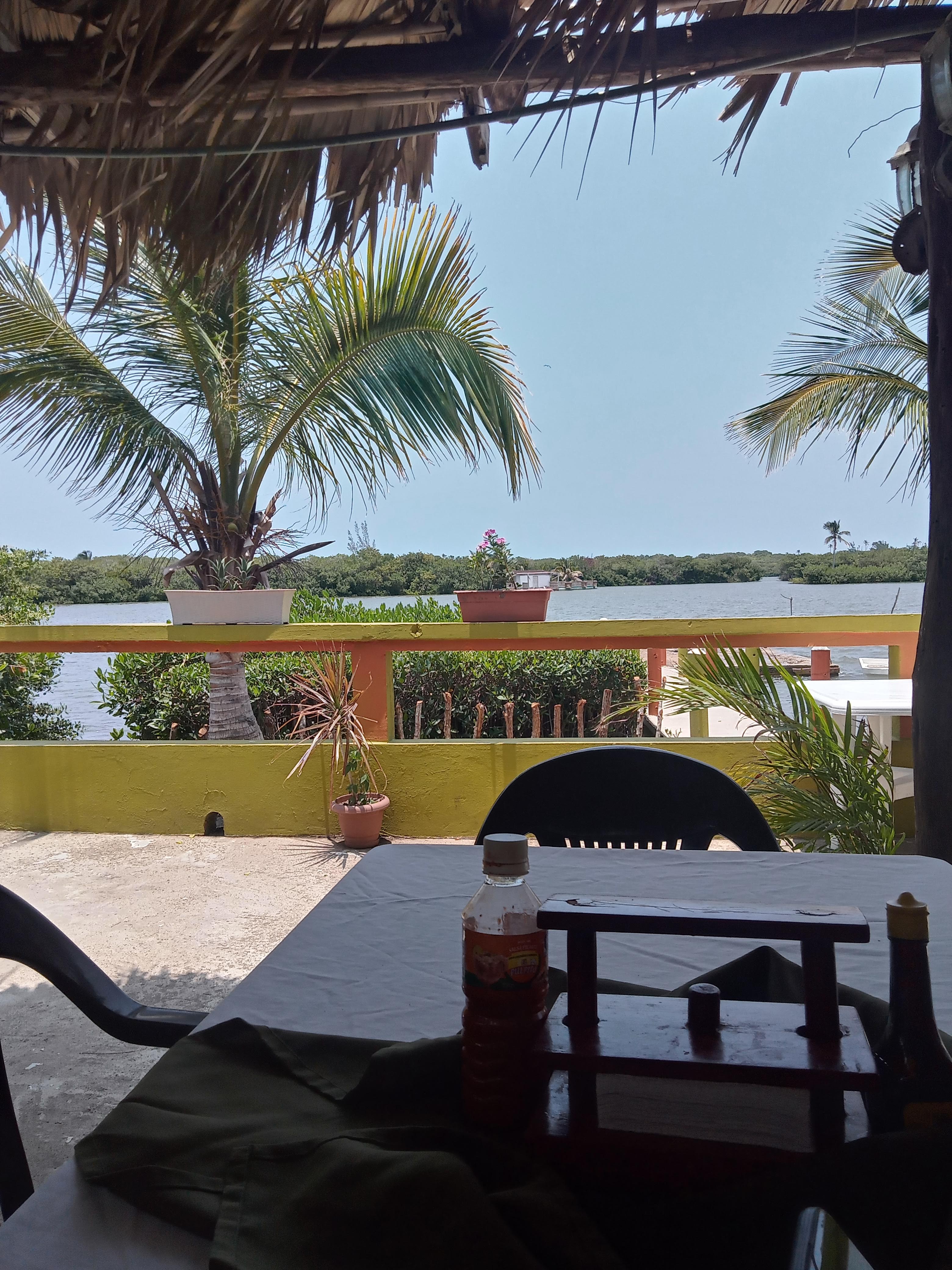 El Ruiseñor image 1