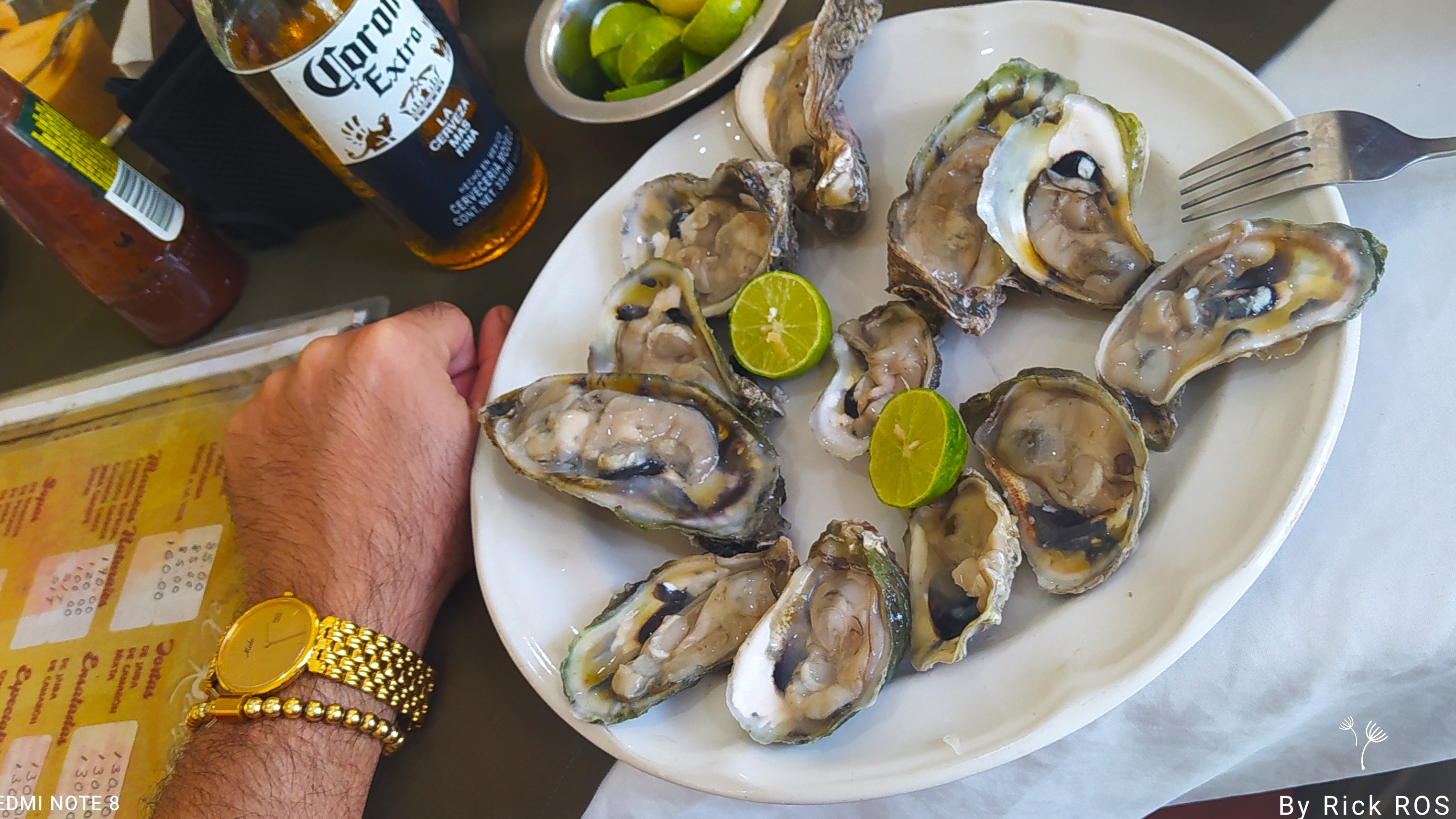 El Ruiseñor image 2