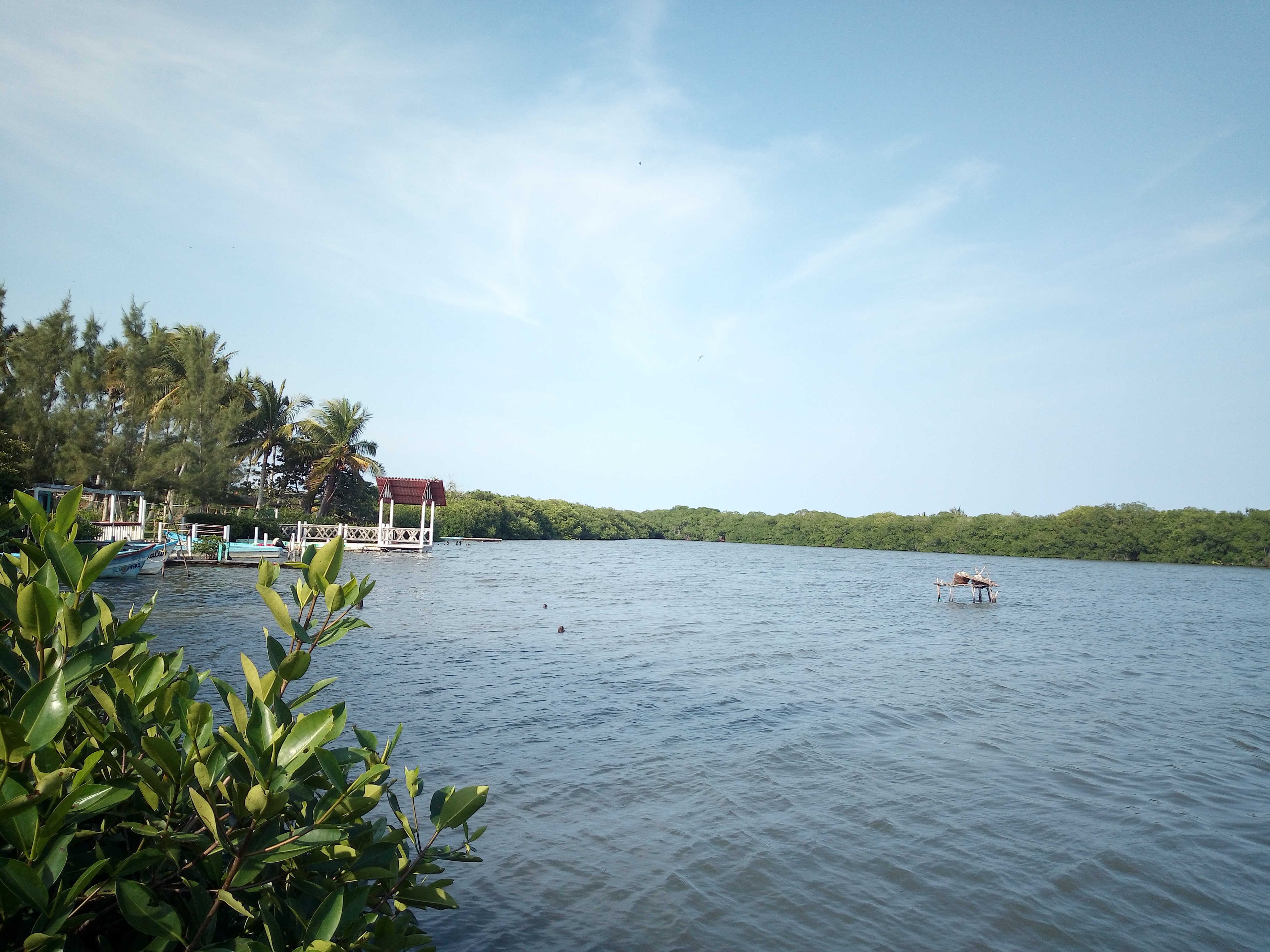 El Ruiseñor image 3