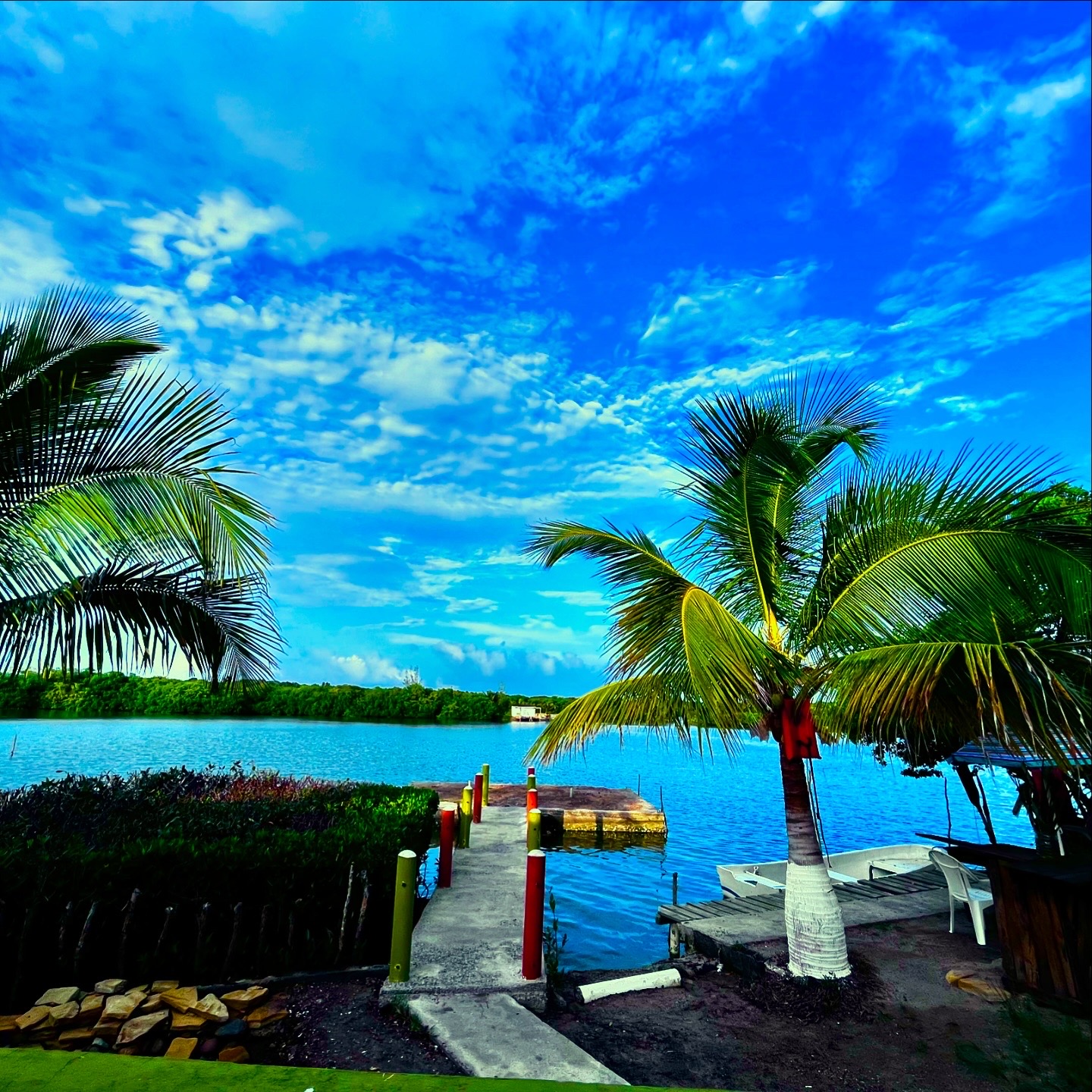 El Ruiseñor image 4