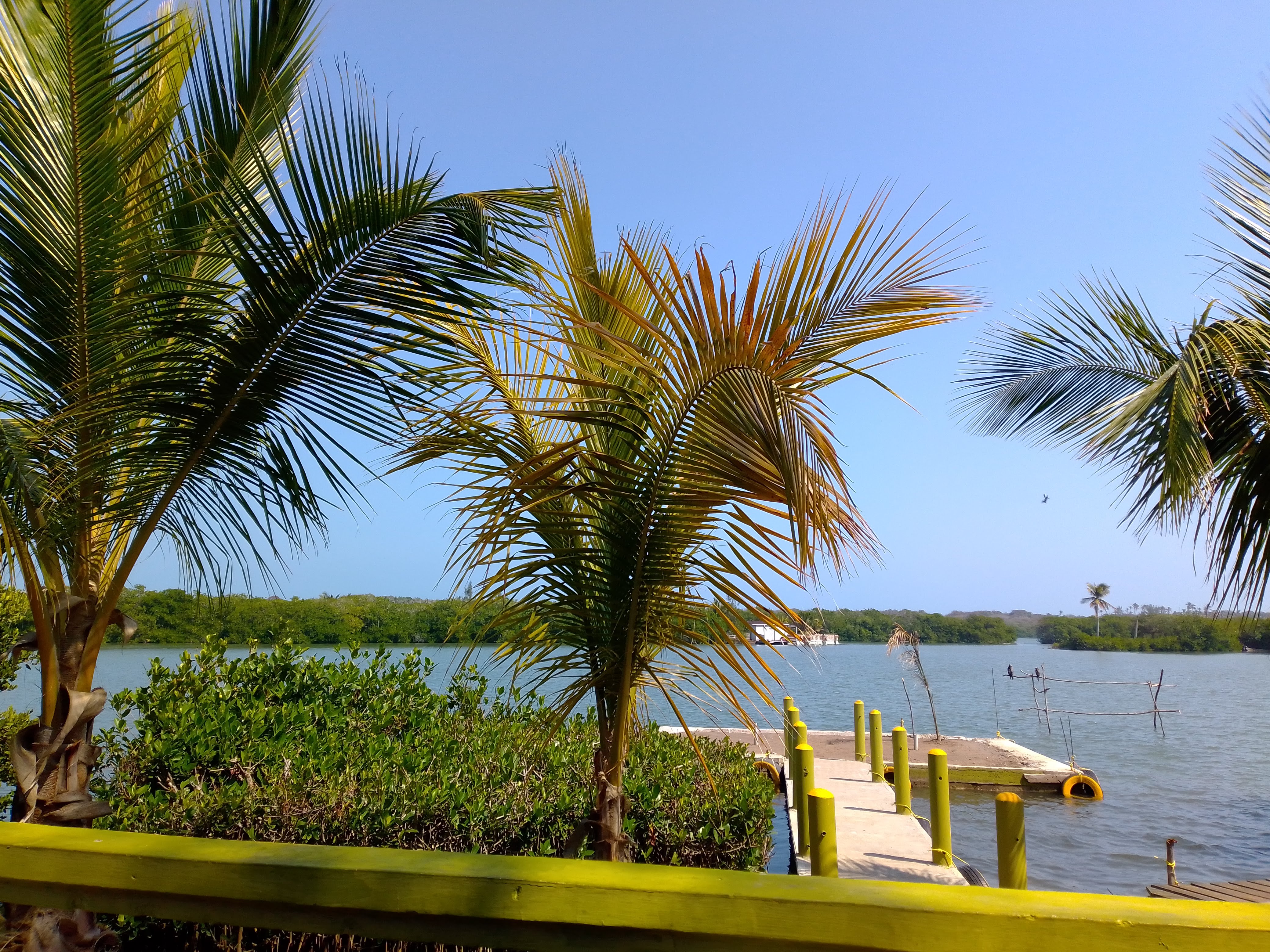 El Ruiseñor image 5