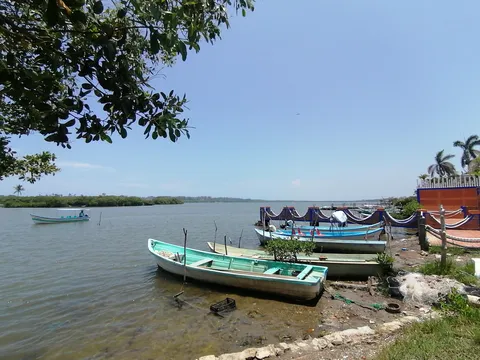 El Ruiseñor image 6