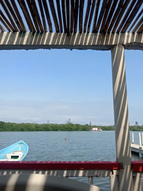 Los Pelicanos image 4