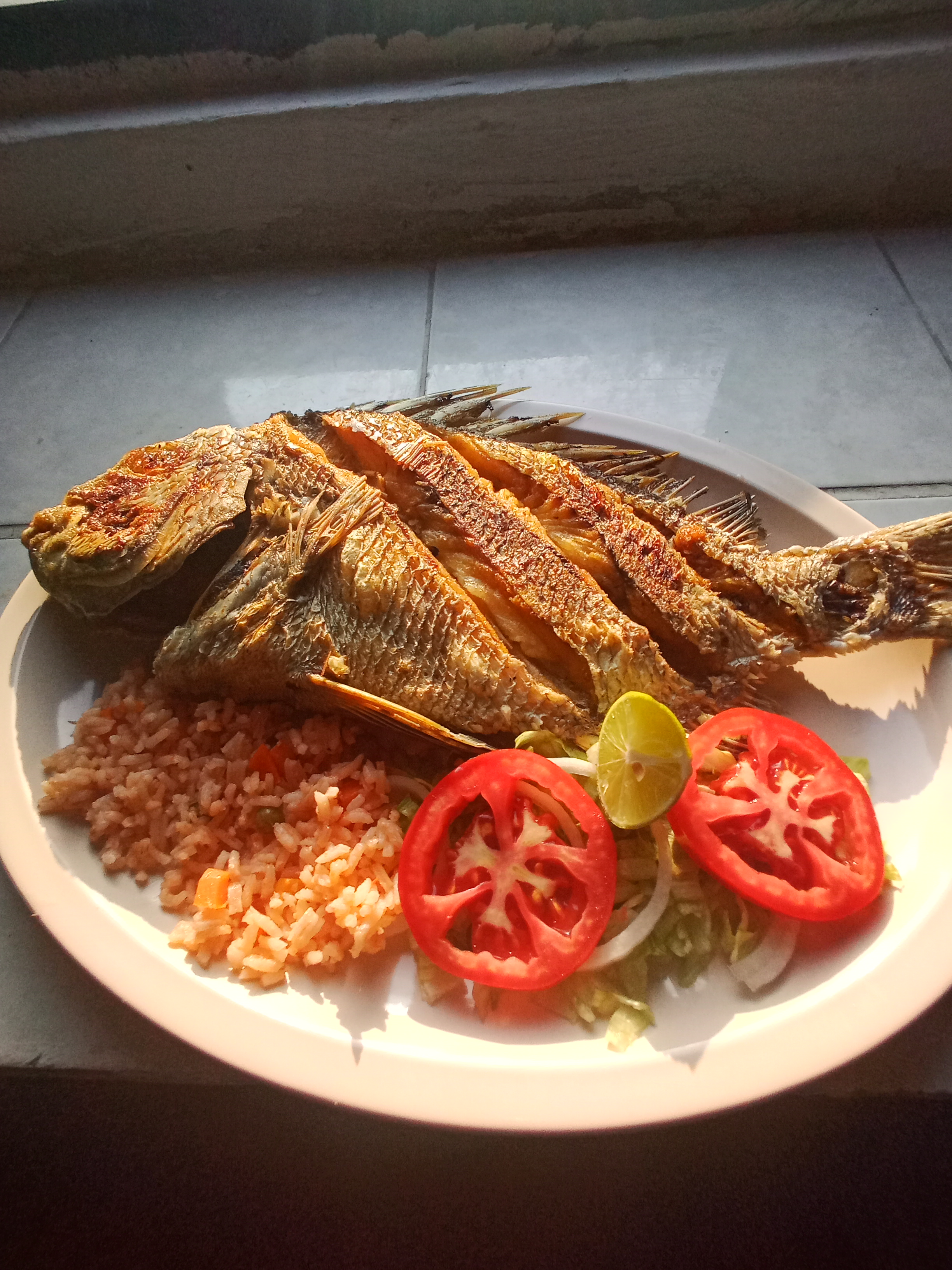 Los Pelicanos image 5