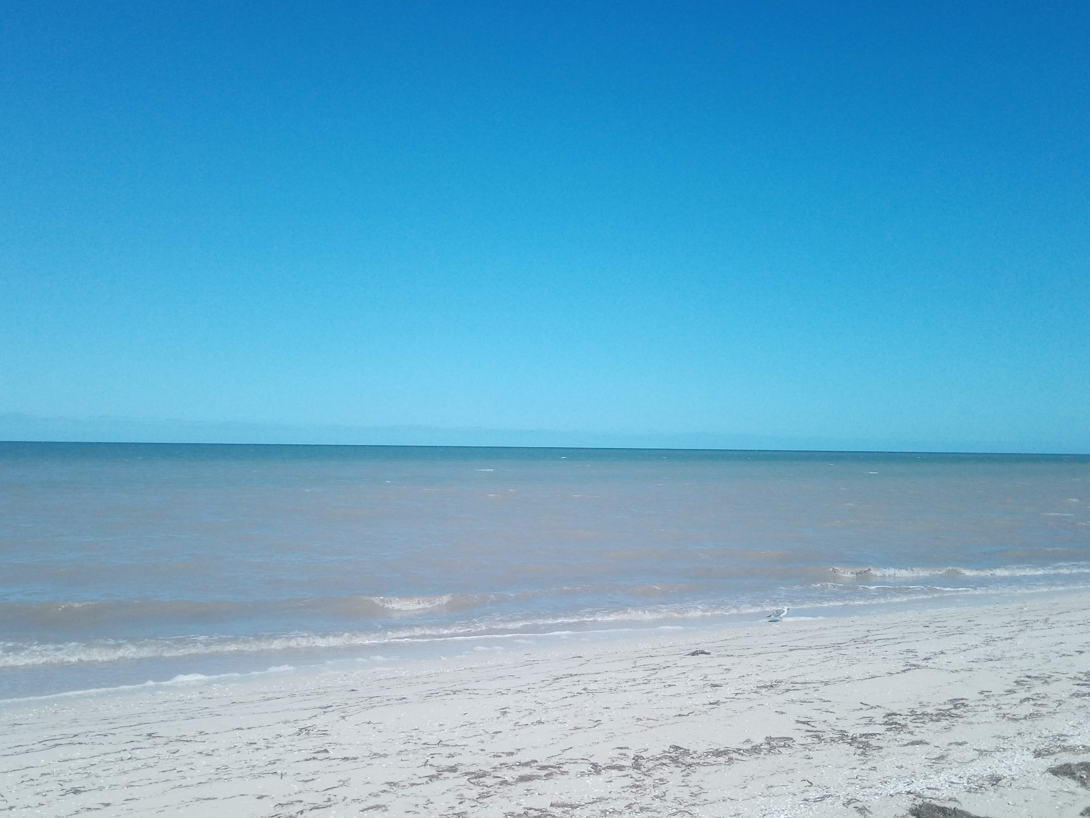 Restaurant Los Caracoles y videobar de noche image 5