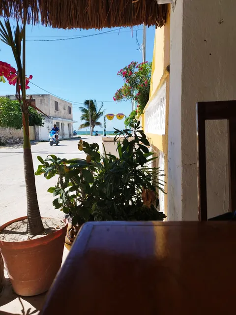 Sol Mar image 5
