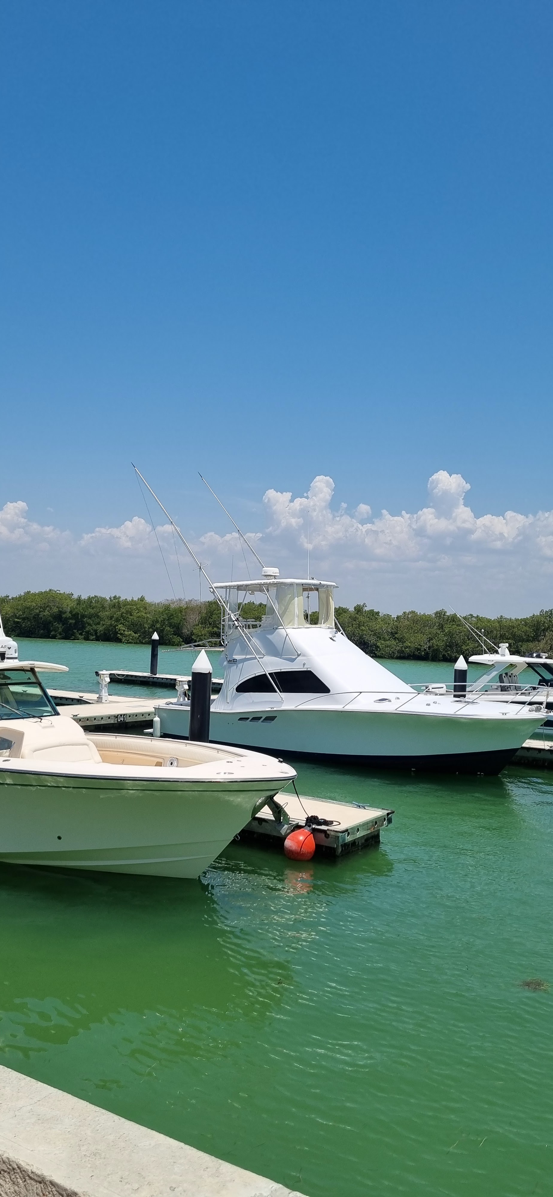 Restaurante Grand Marina Kinuh image 9