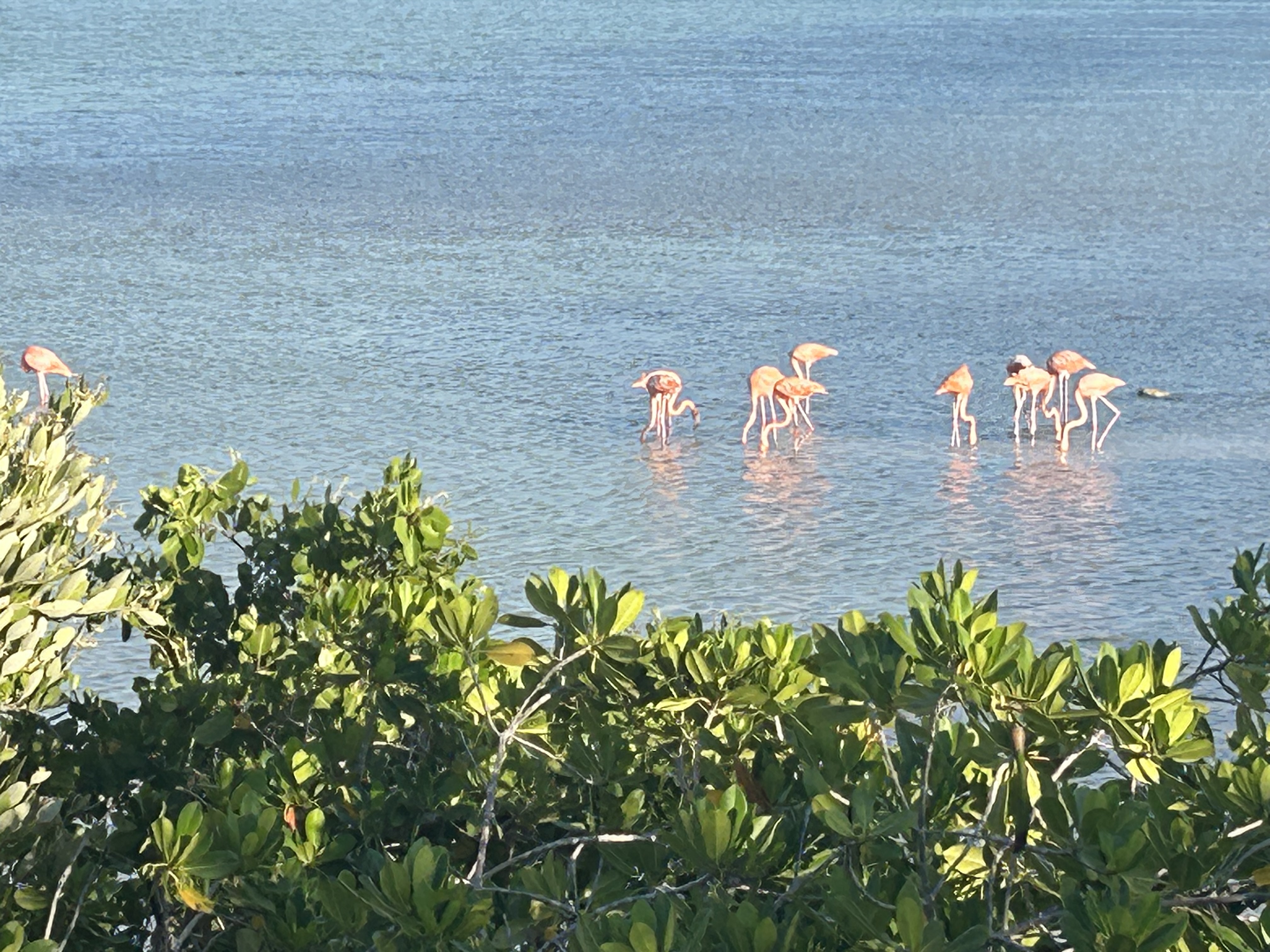 Restaurante Grand Marina Kinuh image 10