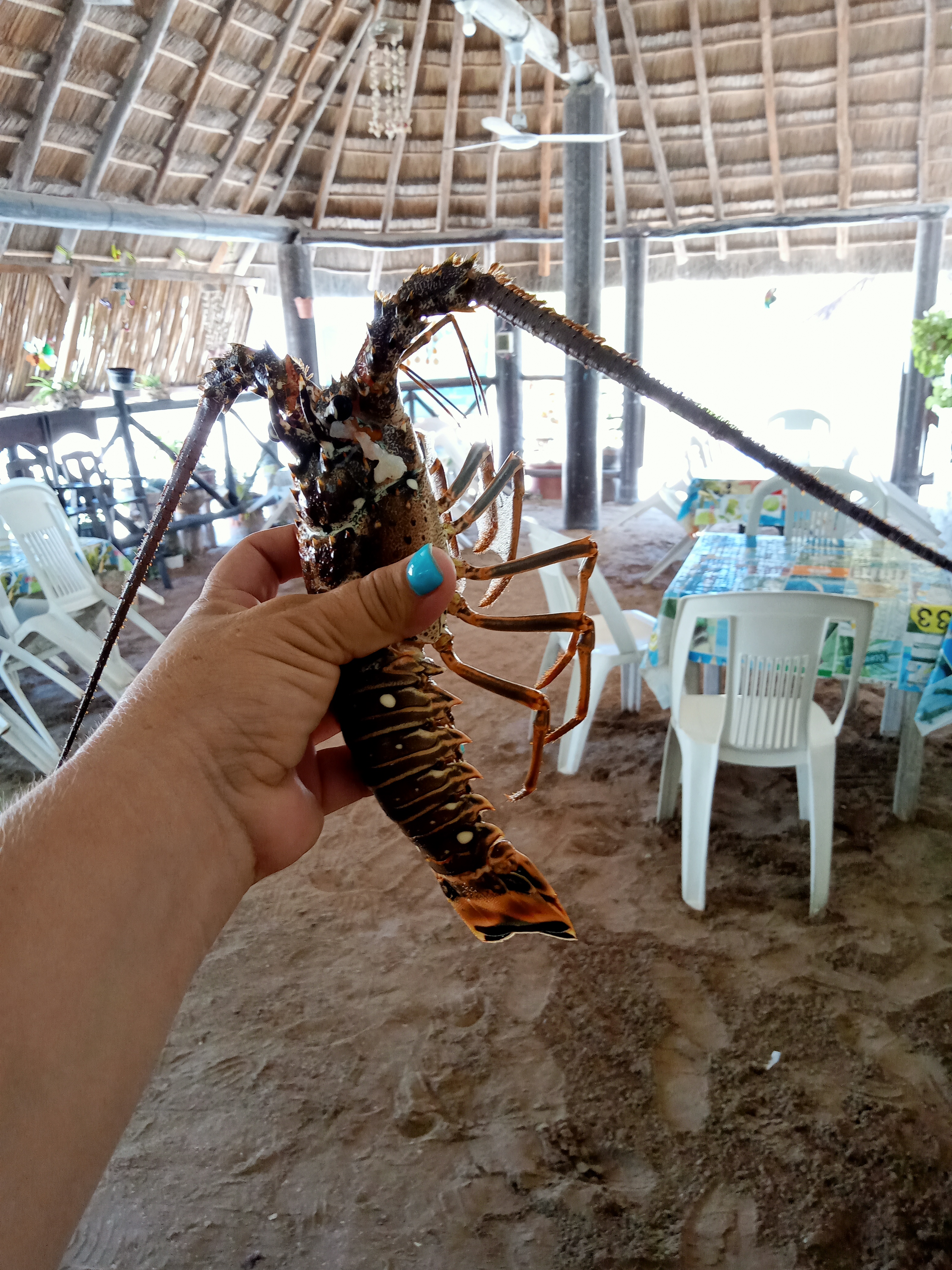 Pescadería La Avenida image 1