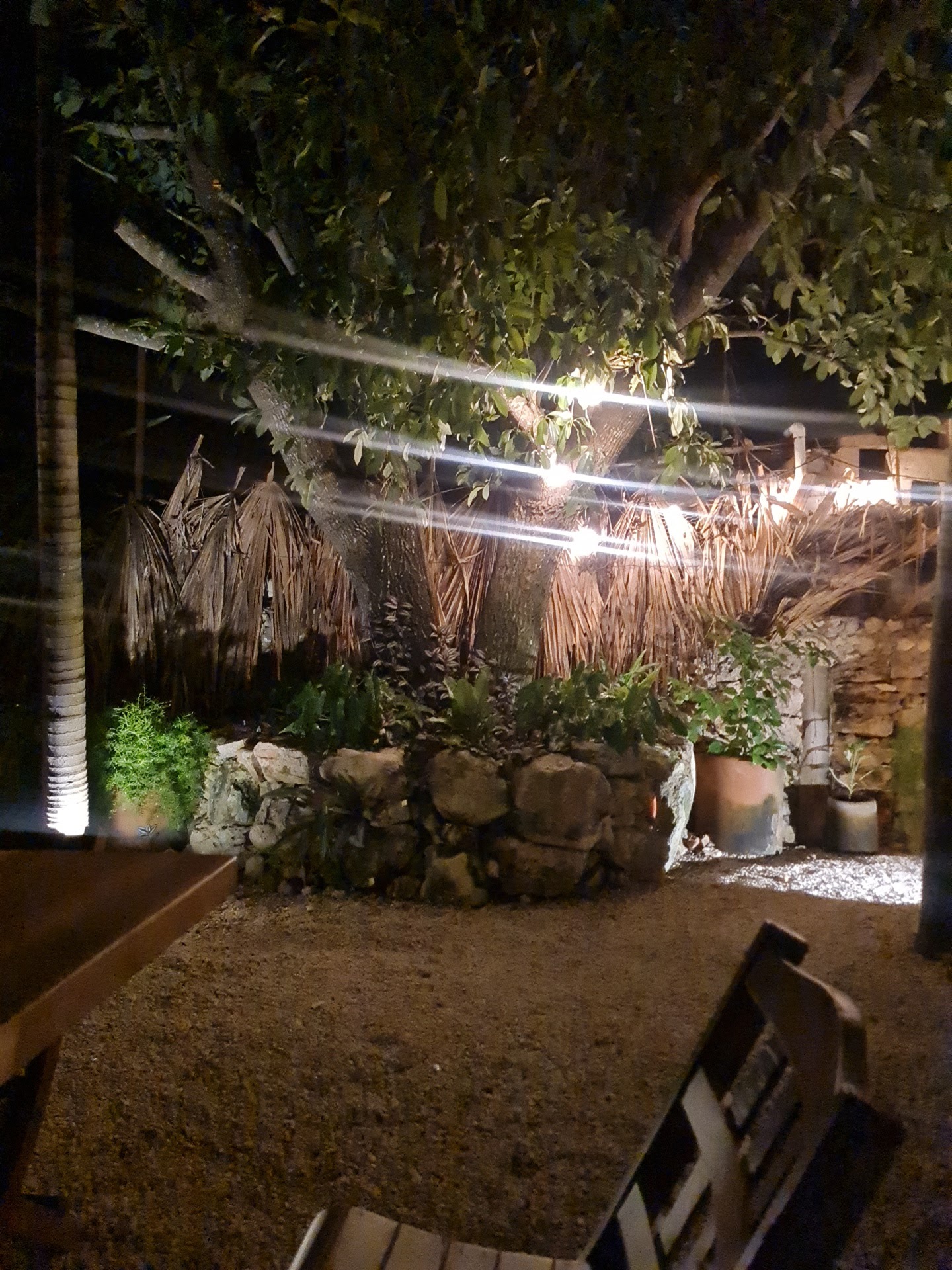 KANCHÉ IZAMAL image 7