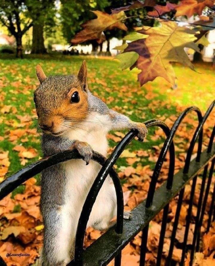 Tacos Chava´s image 4