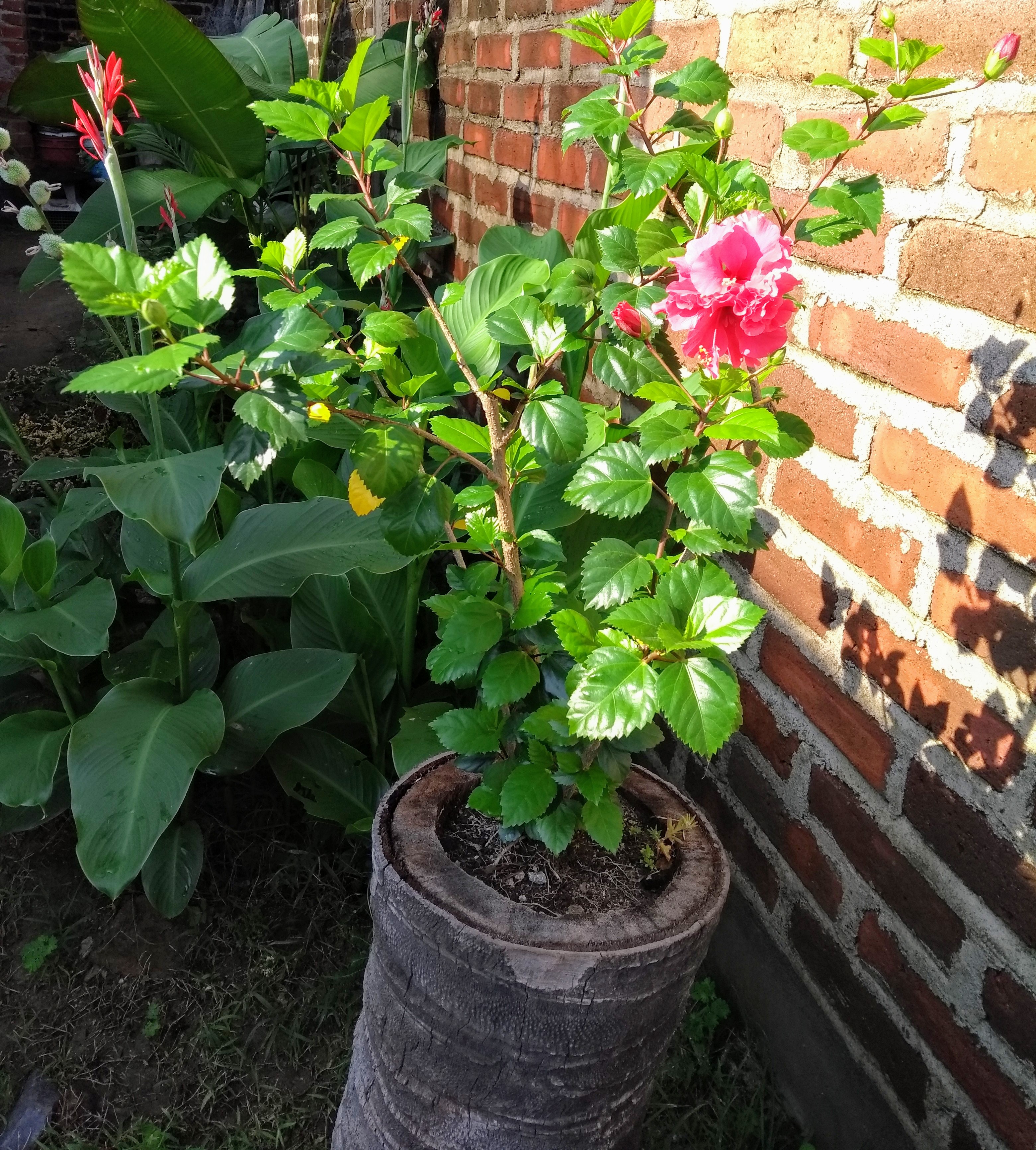 Tacos Chava´s image 5