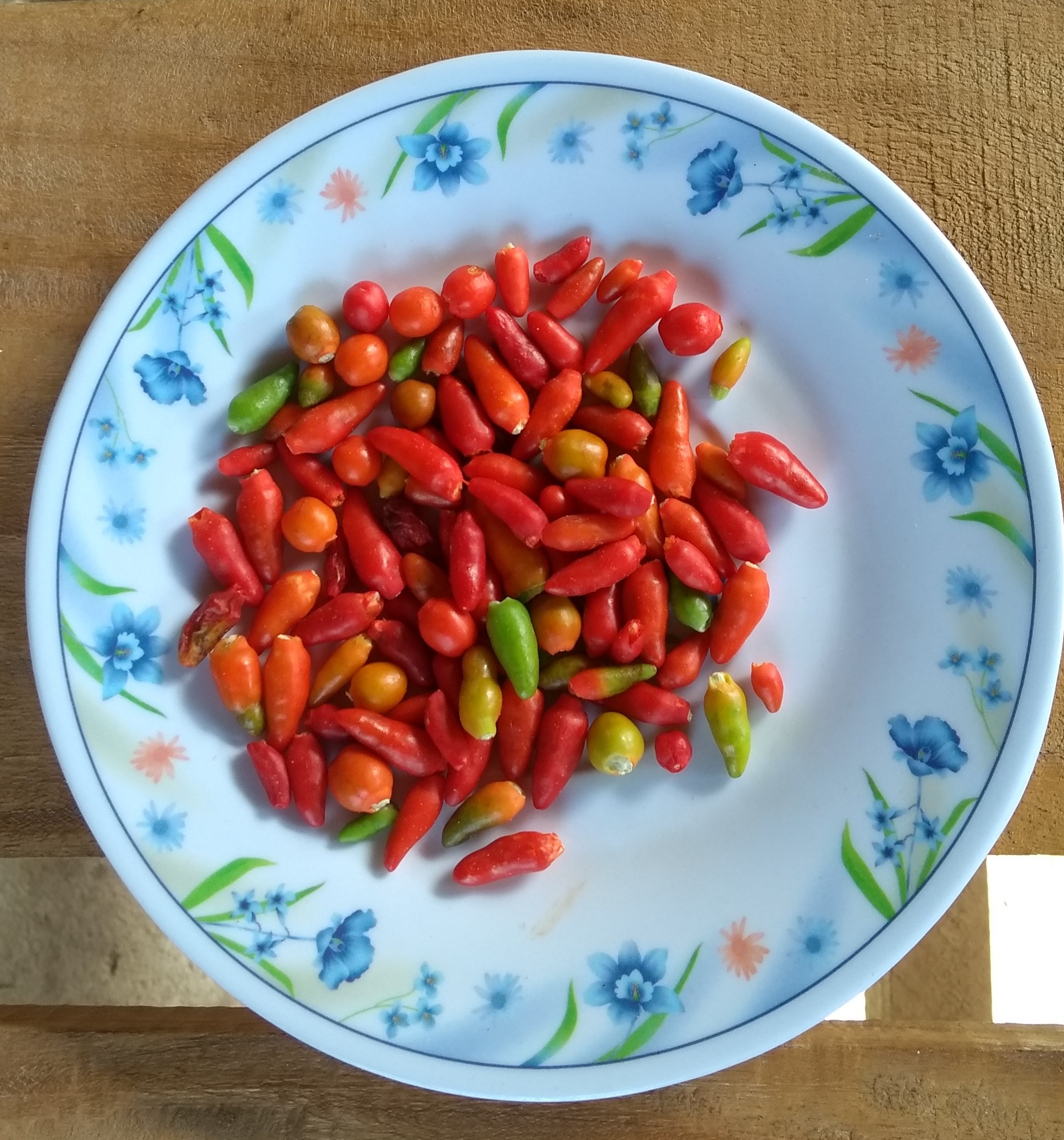 Tacos Chava´s image 10