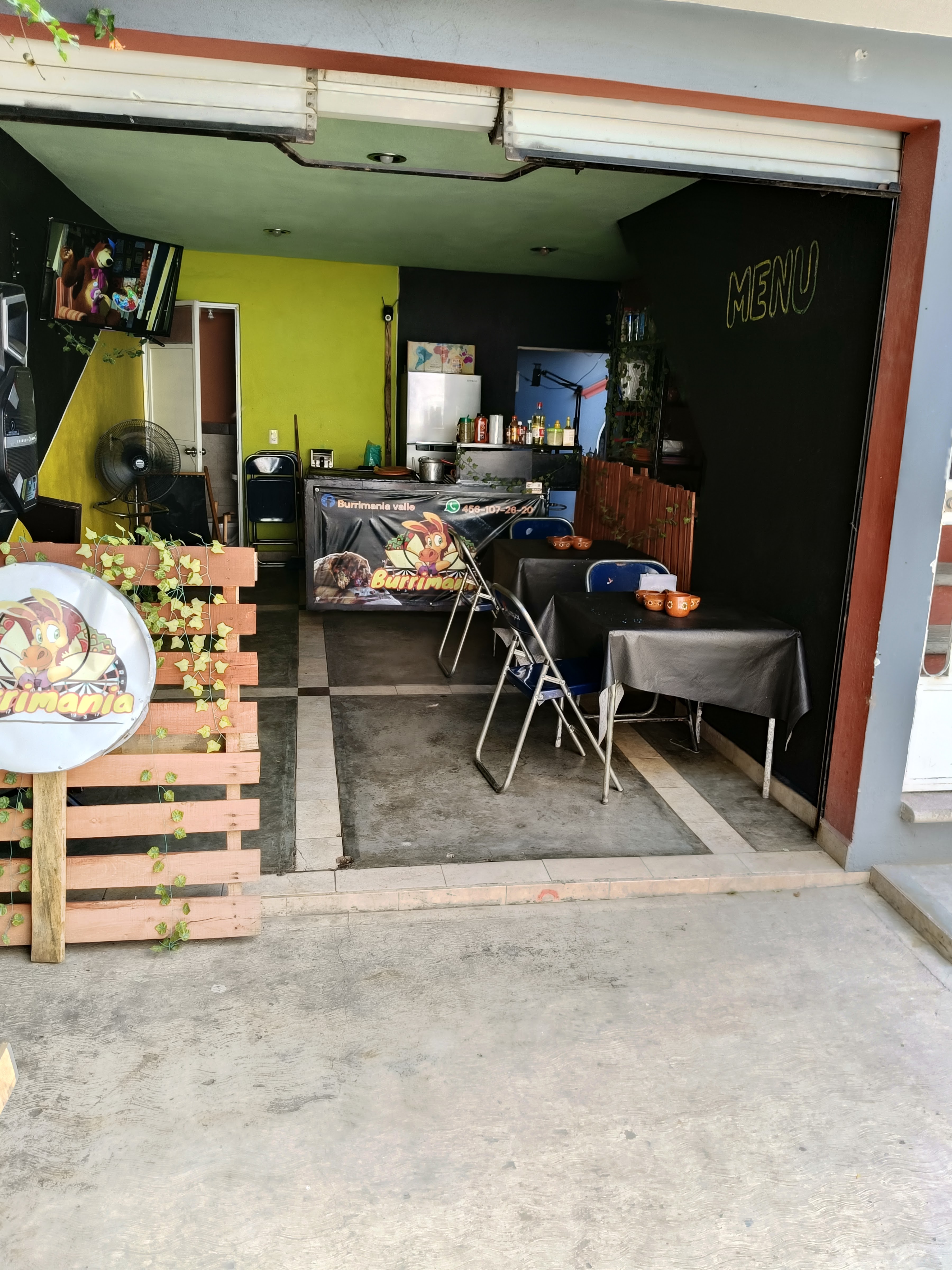 BURRIMANIA VALLE image 1