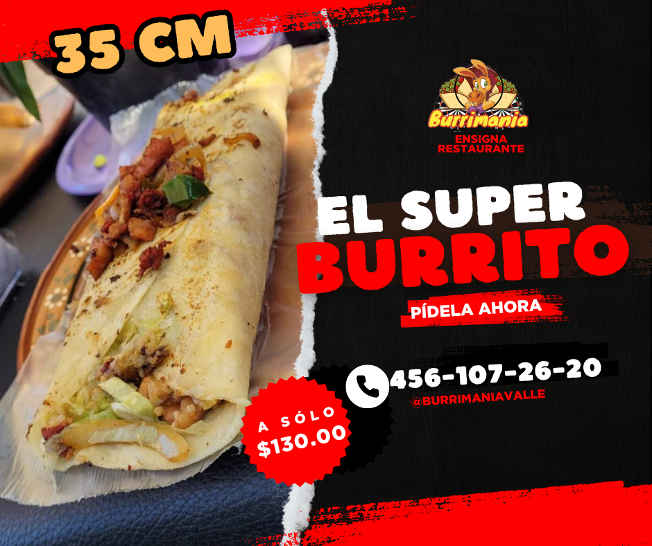 BURRIMANIA VALLE image 3