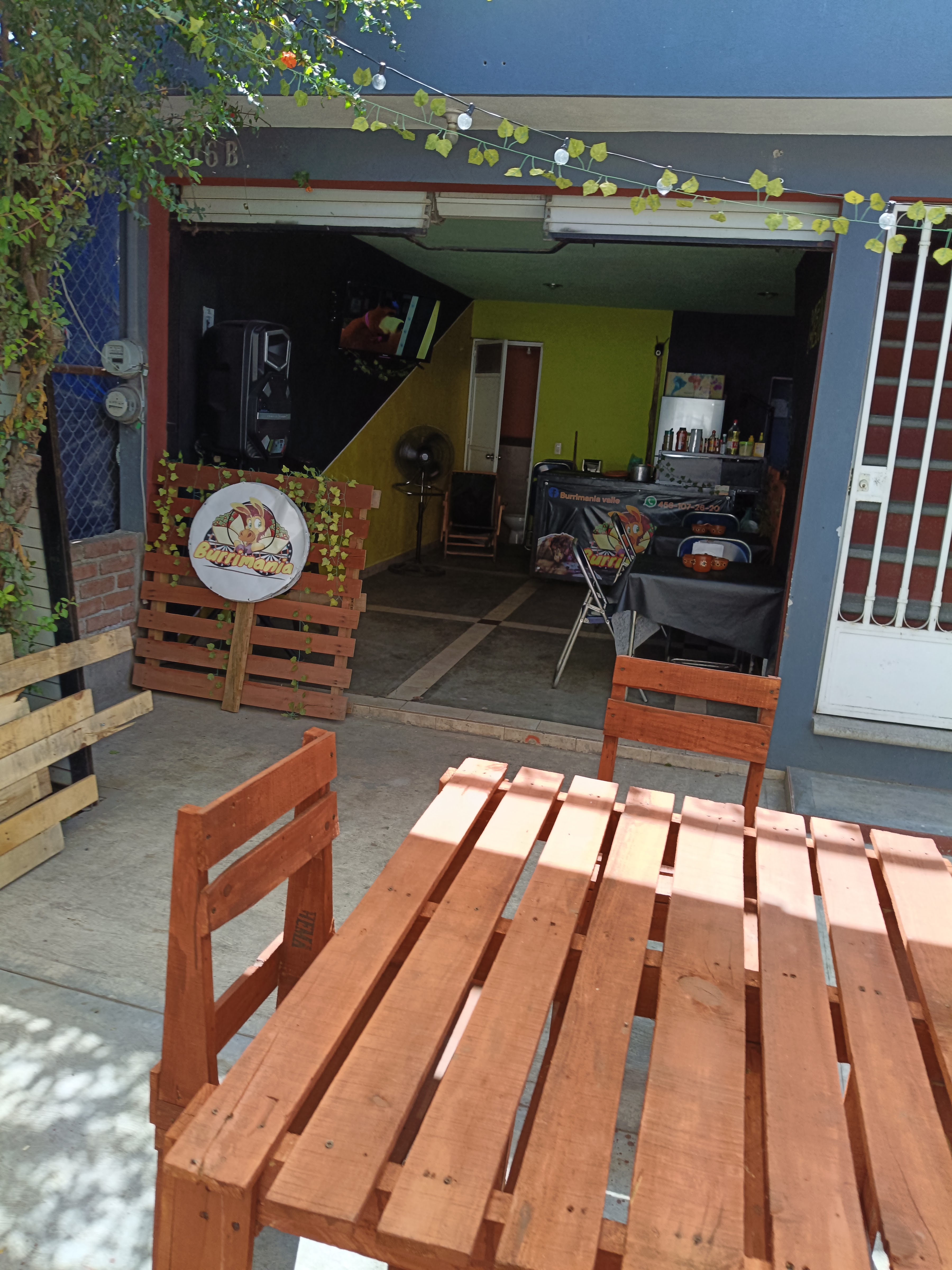 BURRIMANIA VALLE image 7