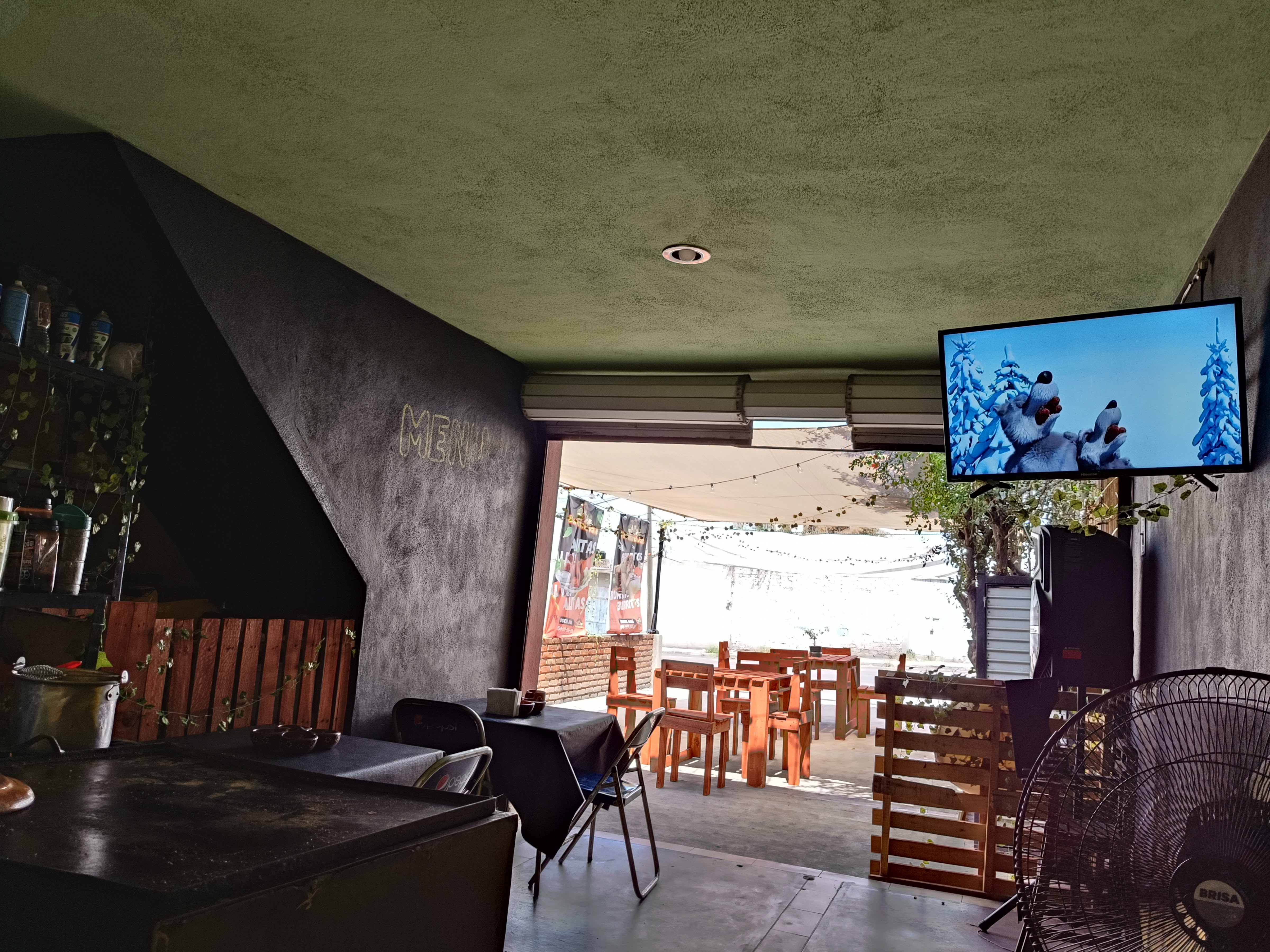 BURRIMANIA VALLE image 9