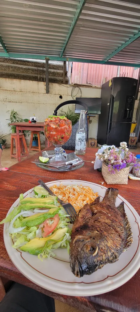 La Palapa image 1
