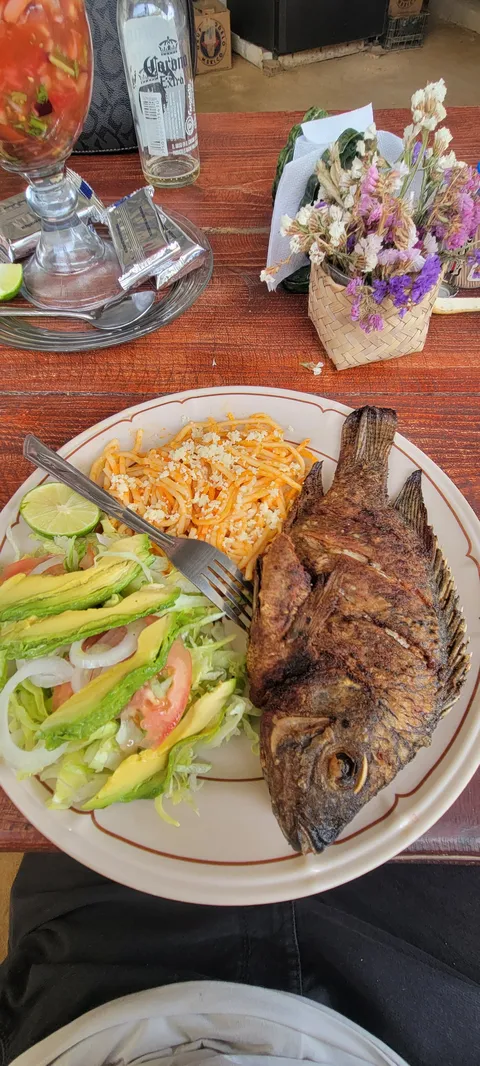La Palapa image 5