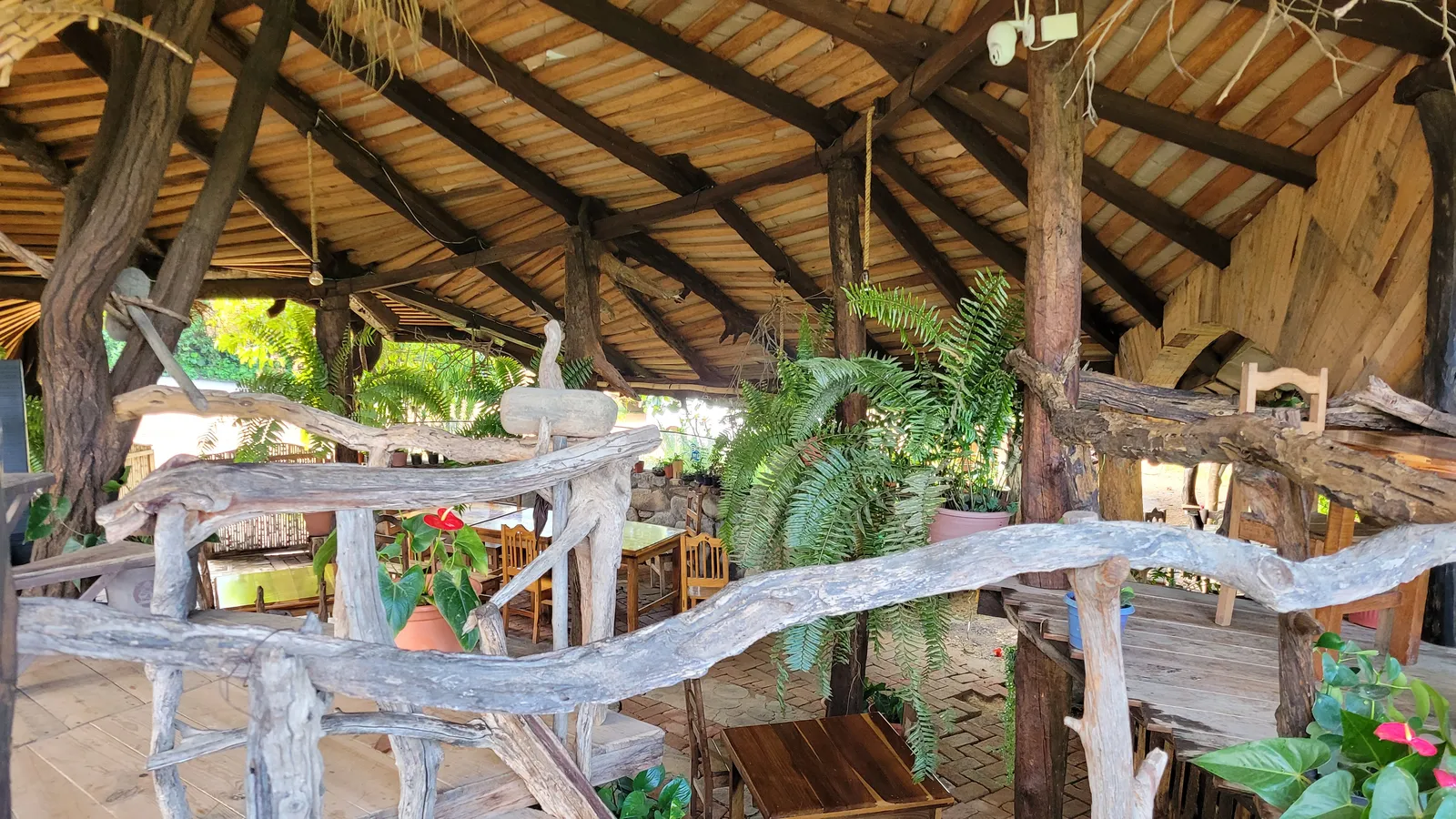 Mi Pueblito image 3