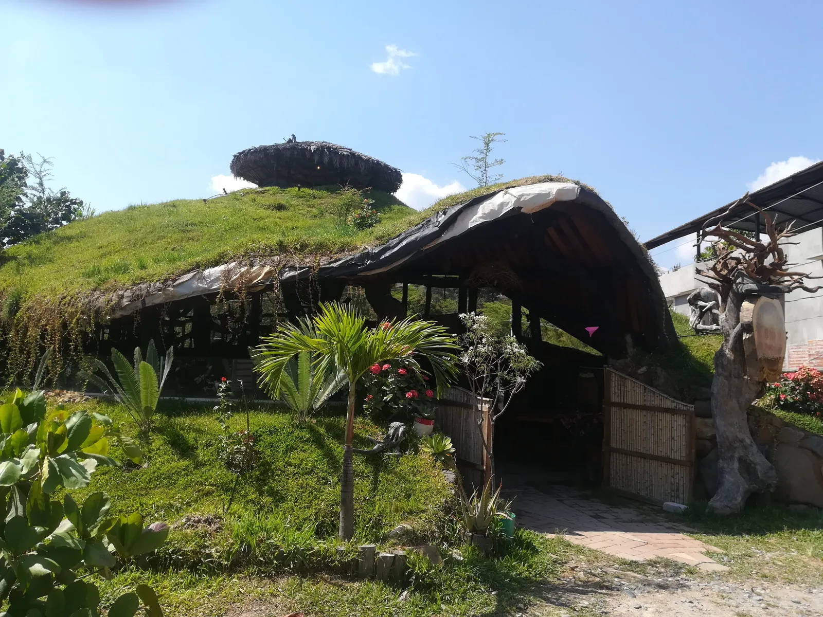 Mi Pueblito image 5