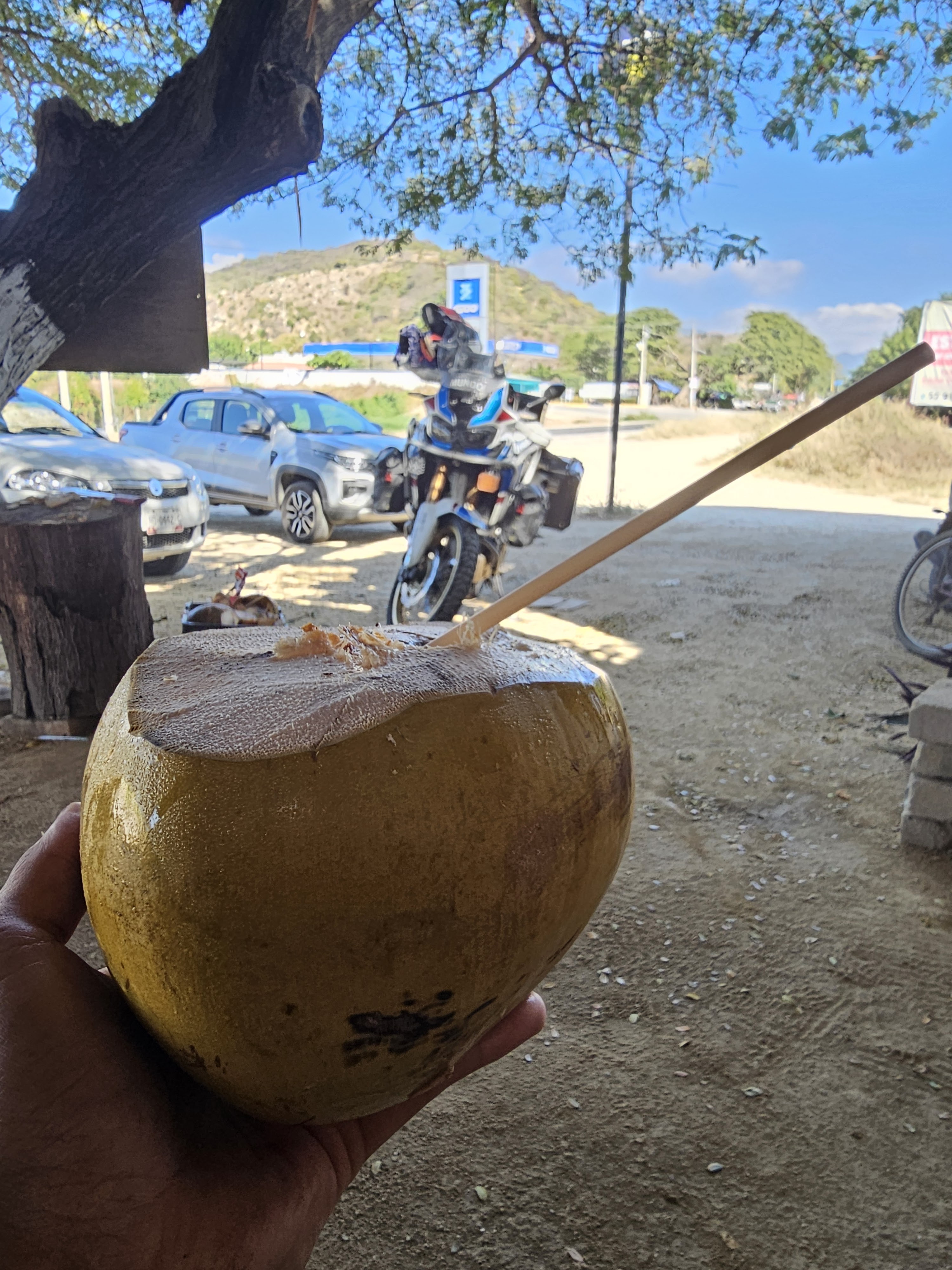 Restaurante Marisquería “El Bucito” image 3