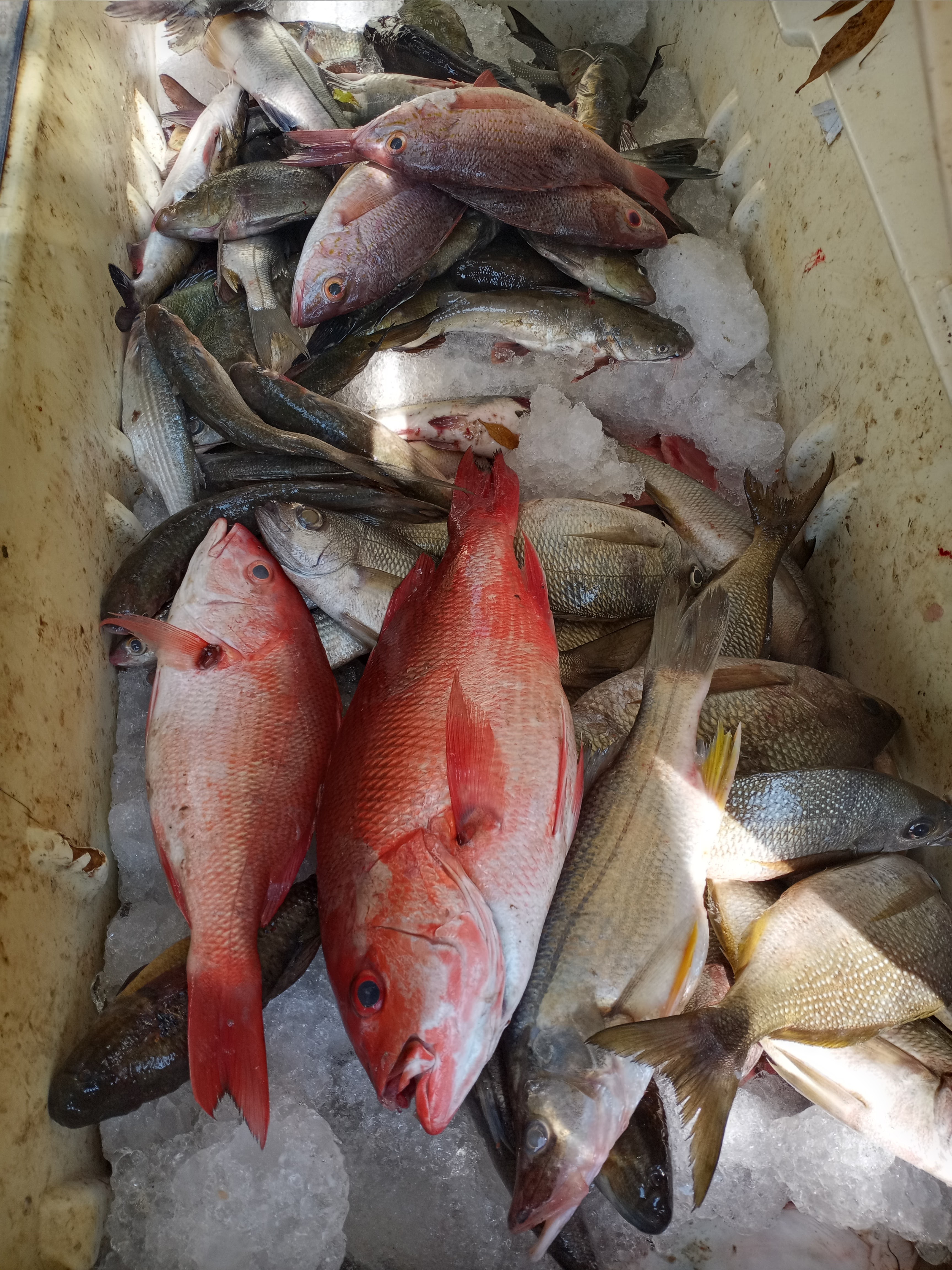 RESTAURANT "JAKI" image 3