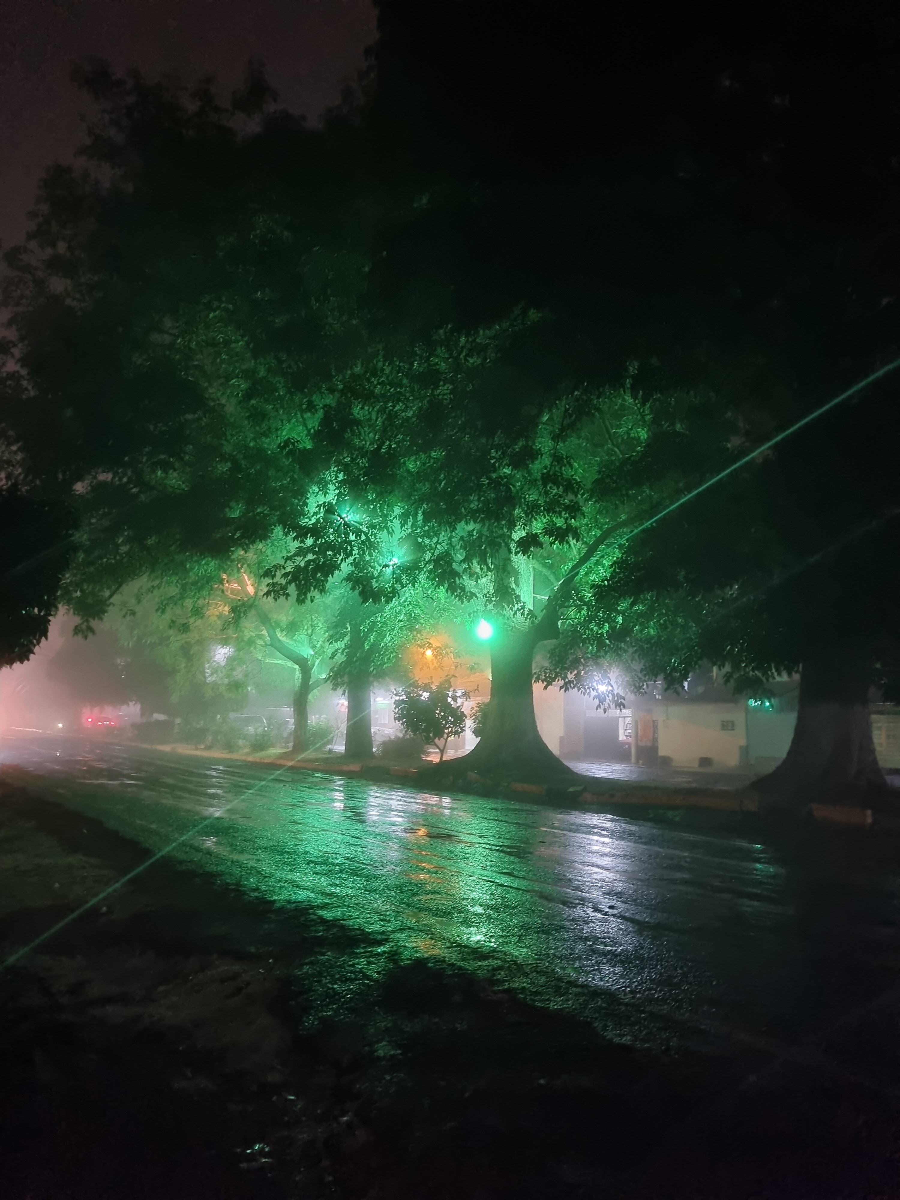 RESTAURANTE GUIDOS image 6