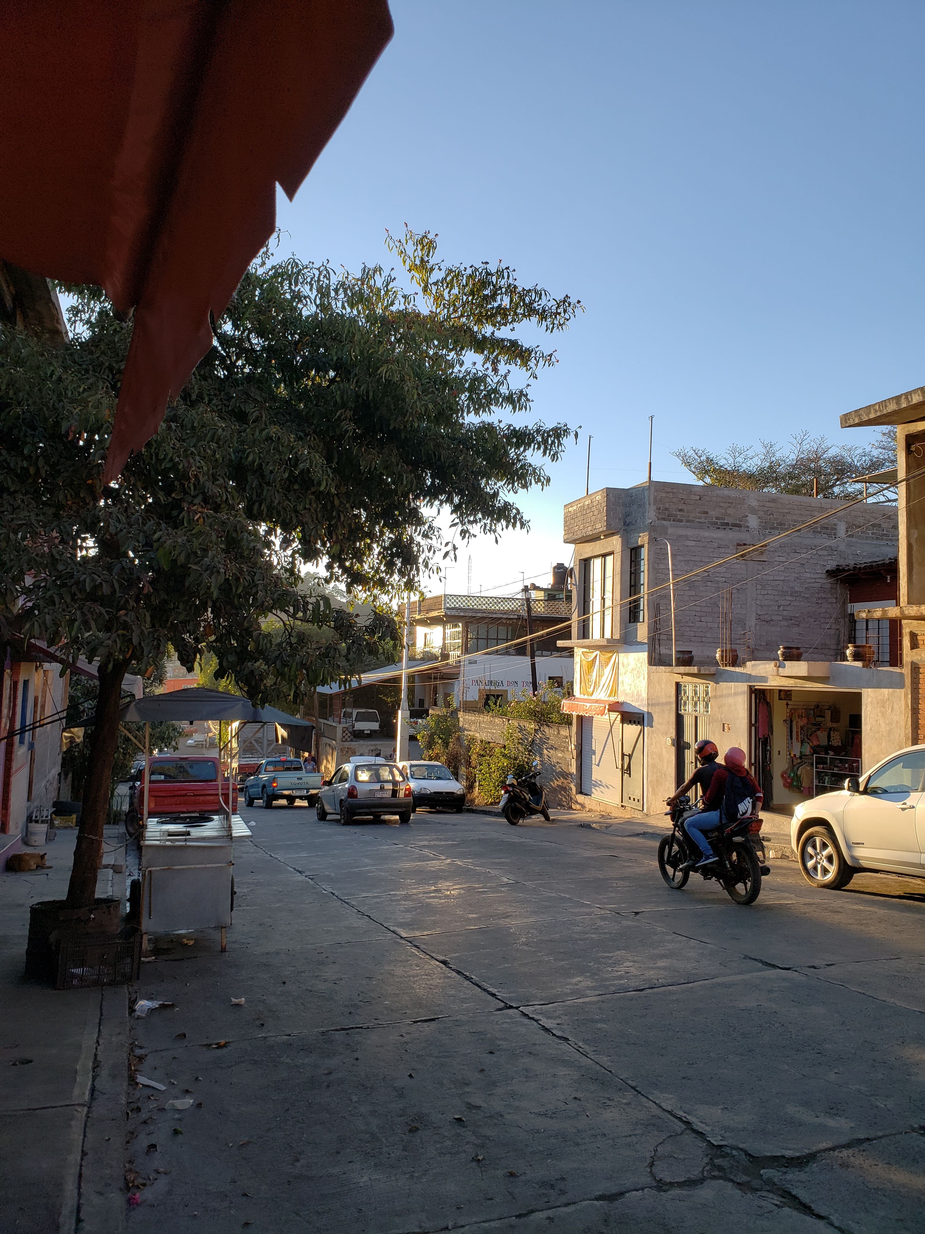 Enchiladas y Tacos de Doña Lucia image 2