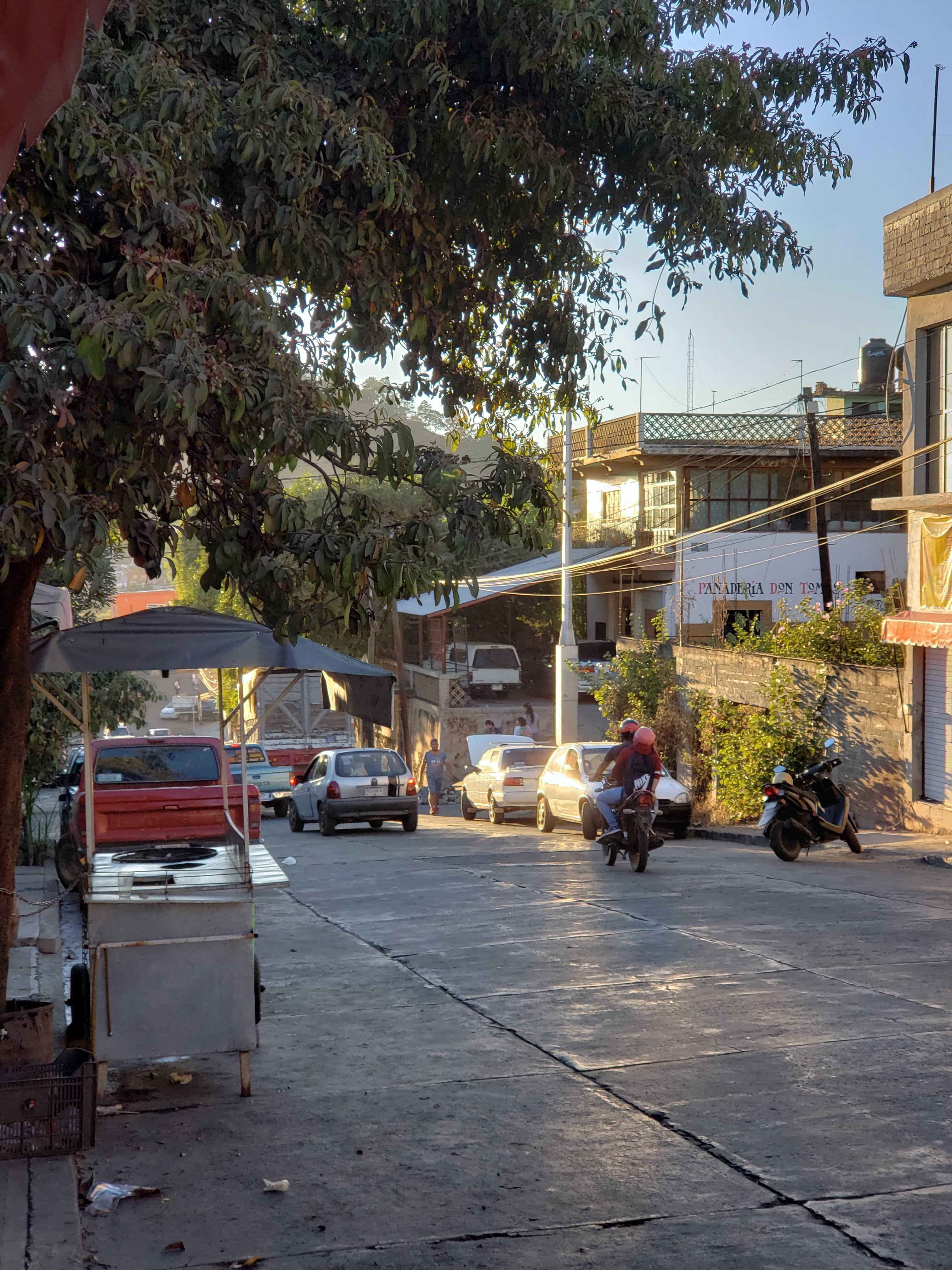 Enchiladas y Tacos de Doña Lucia image 5
