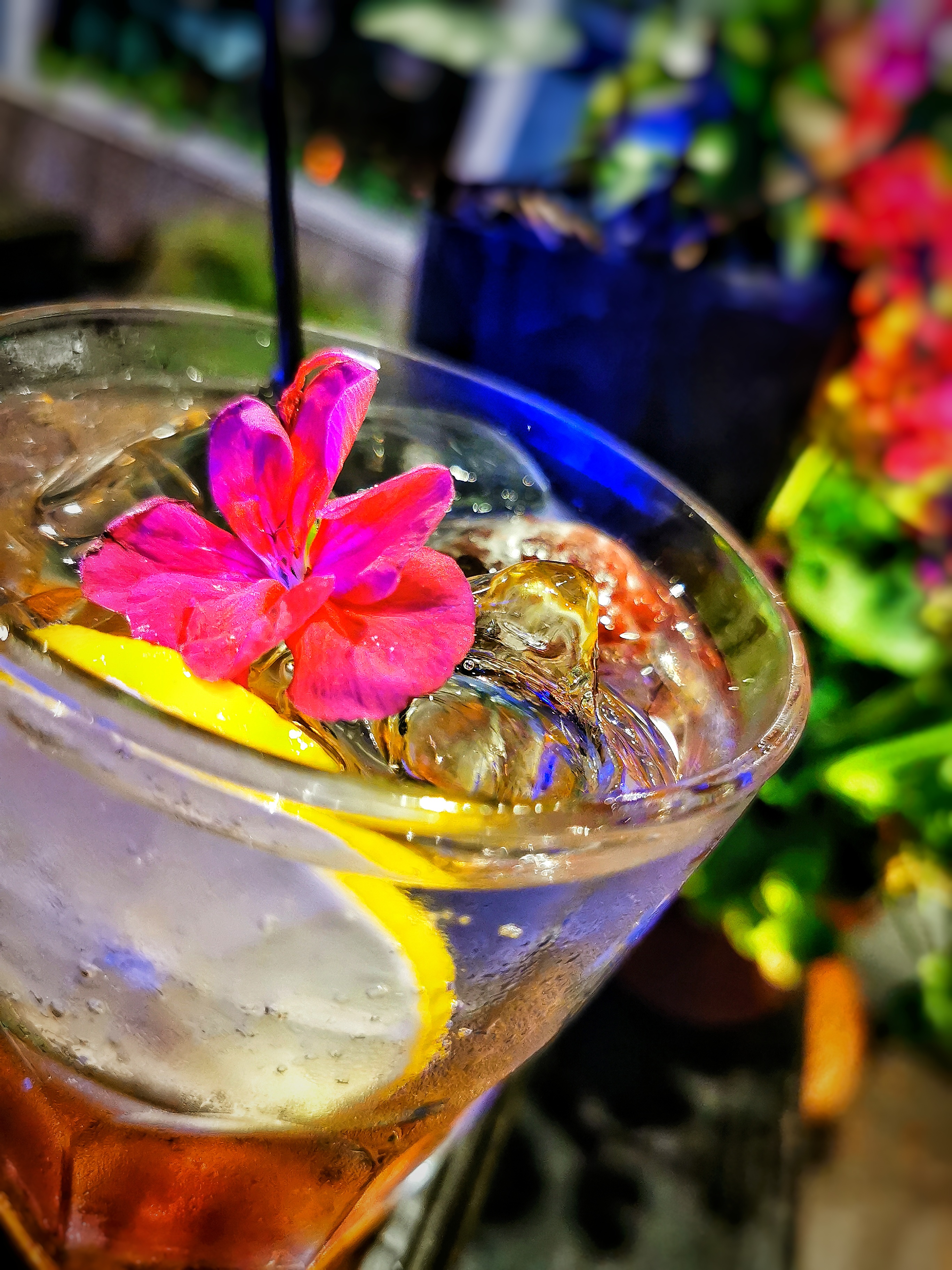 Don Cheve Biergarten image 6