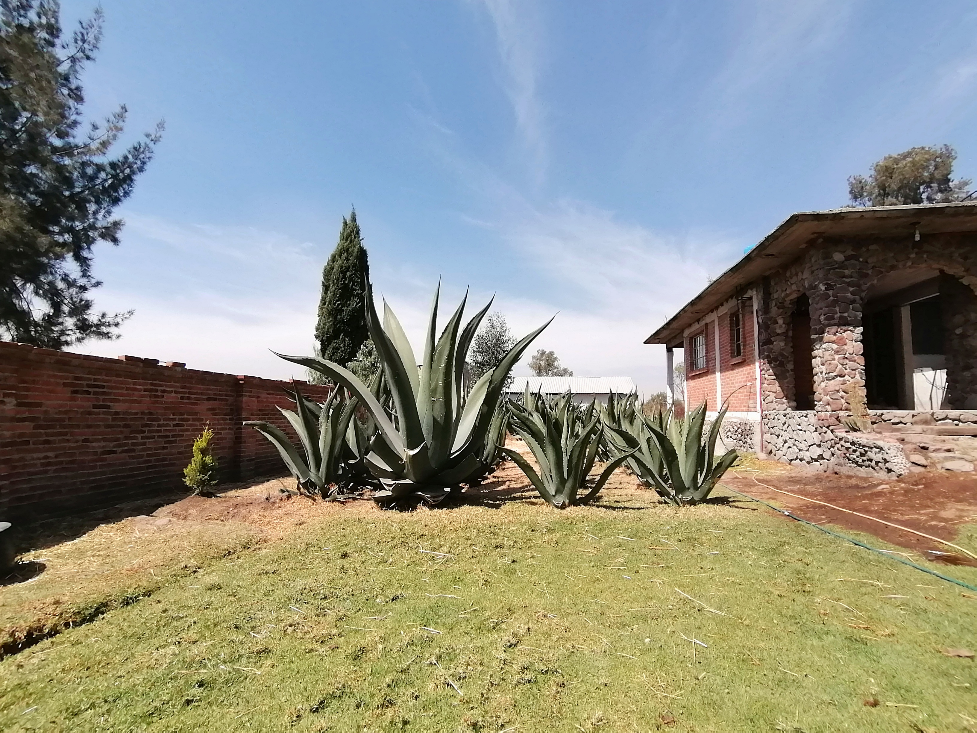 Salón magueyal image 3