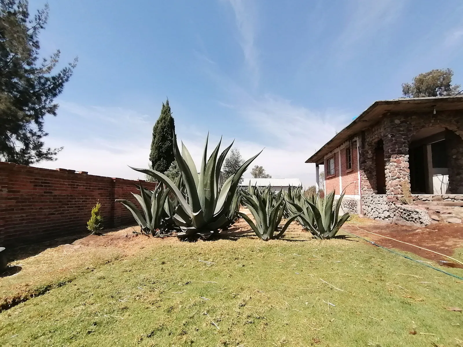 Salón magueyal image 3