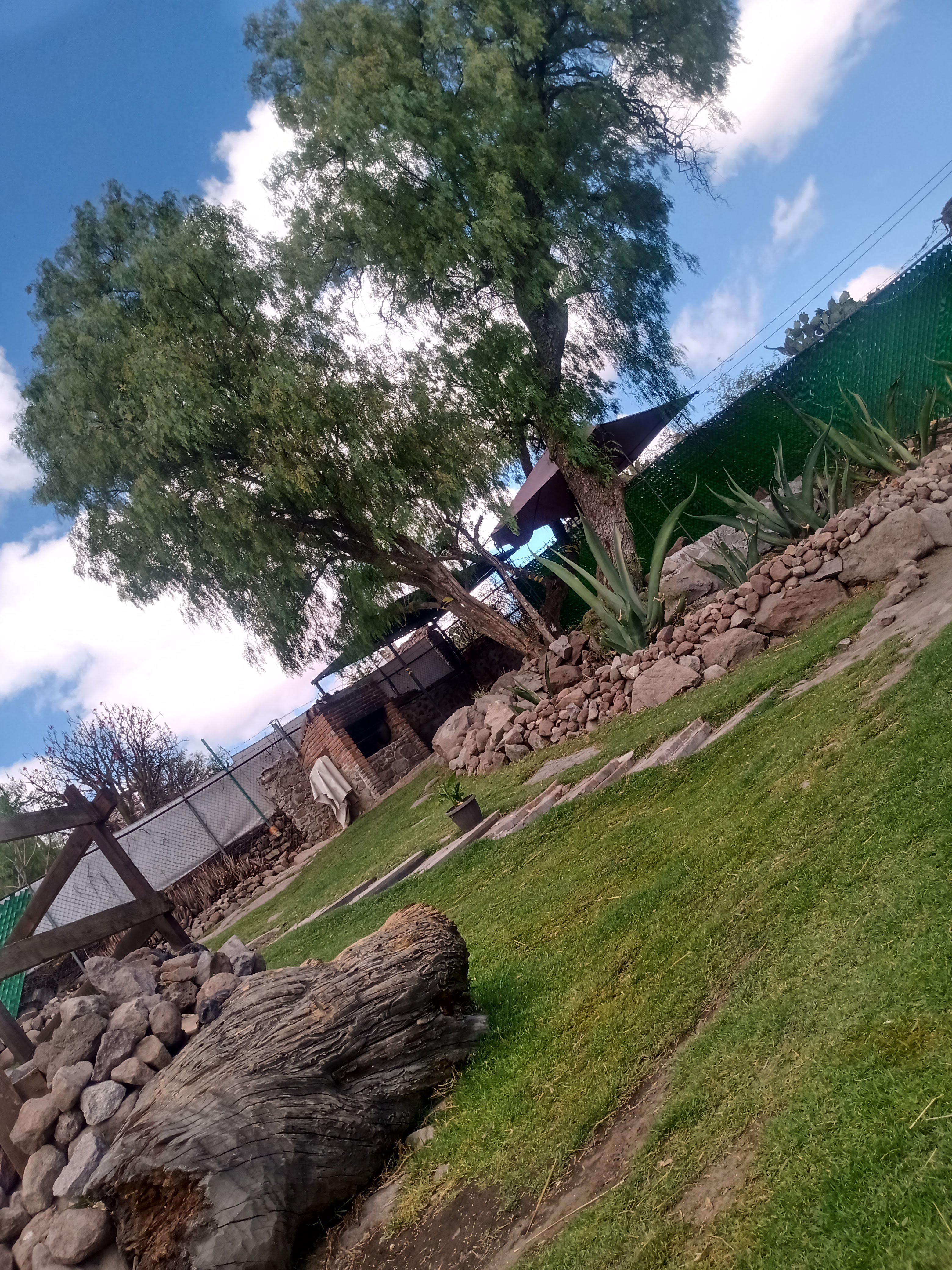 Salón magueyal image 6