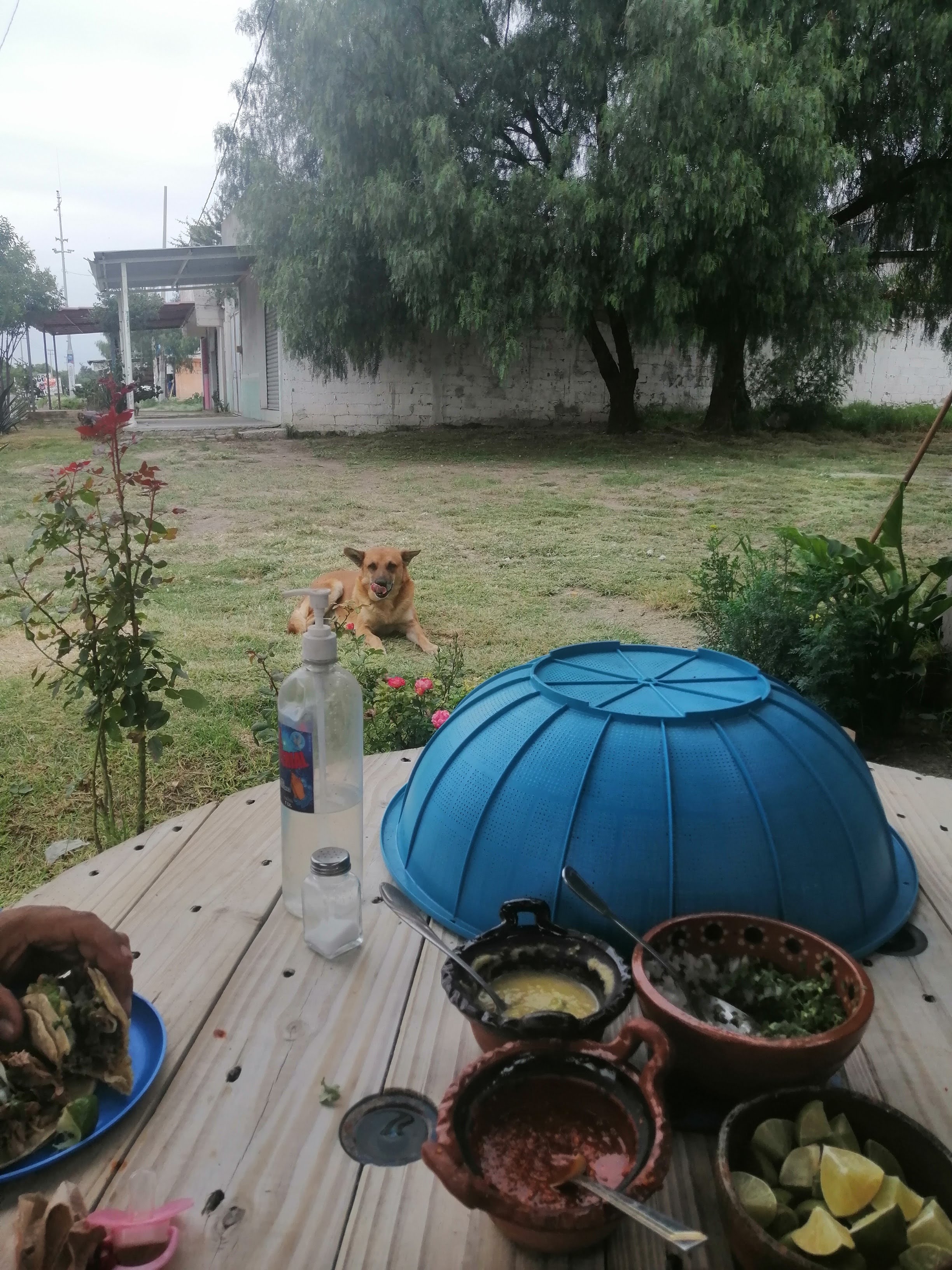 Los charquis image 7