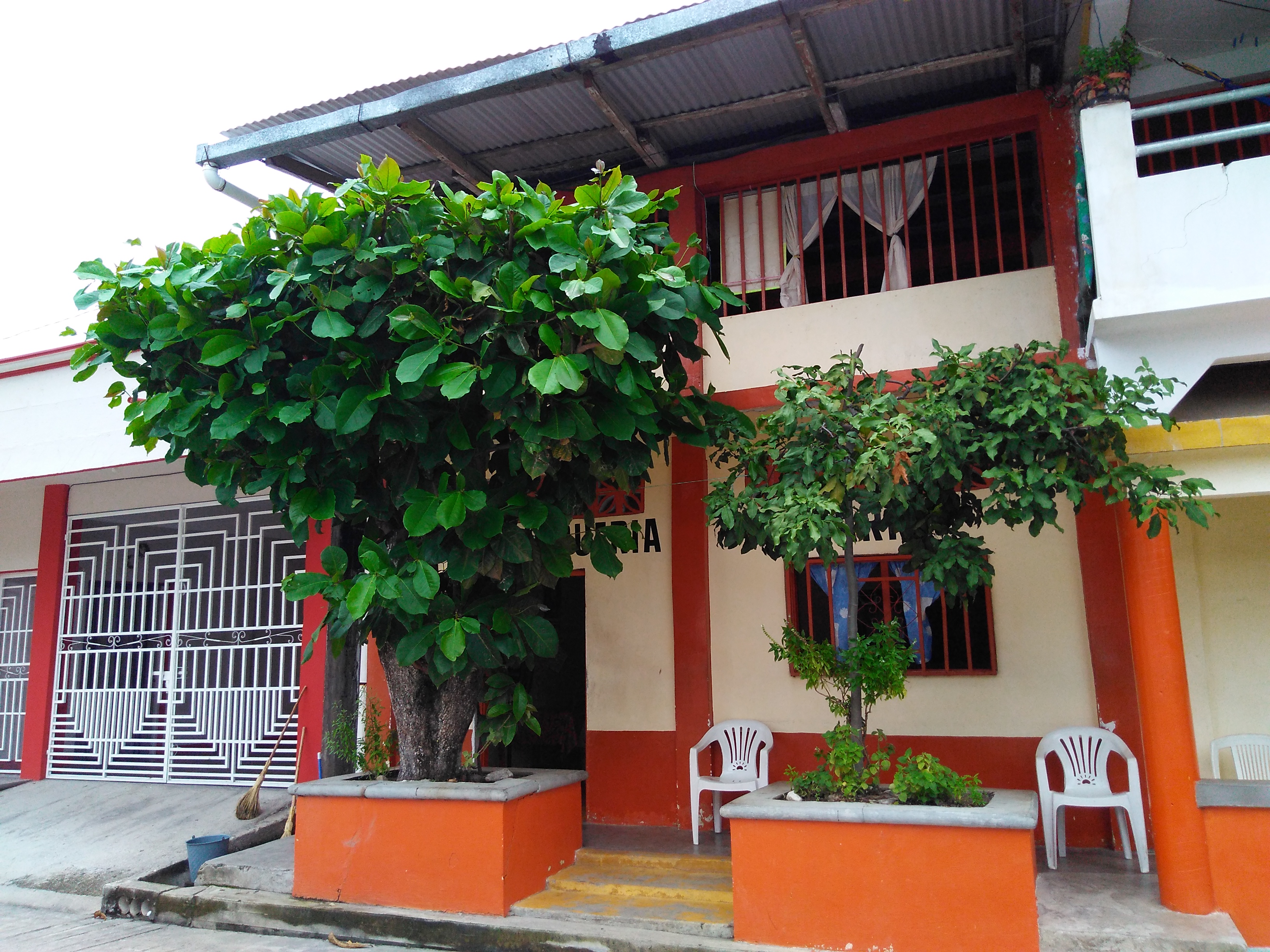 Marisquería HARRY image 3